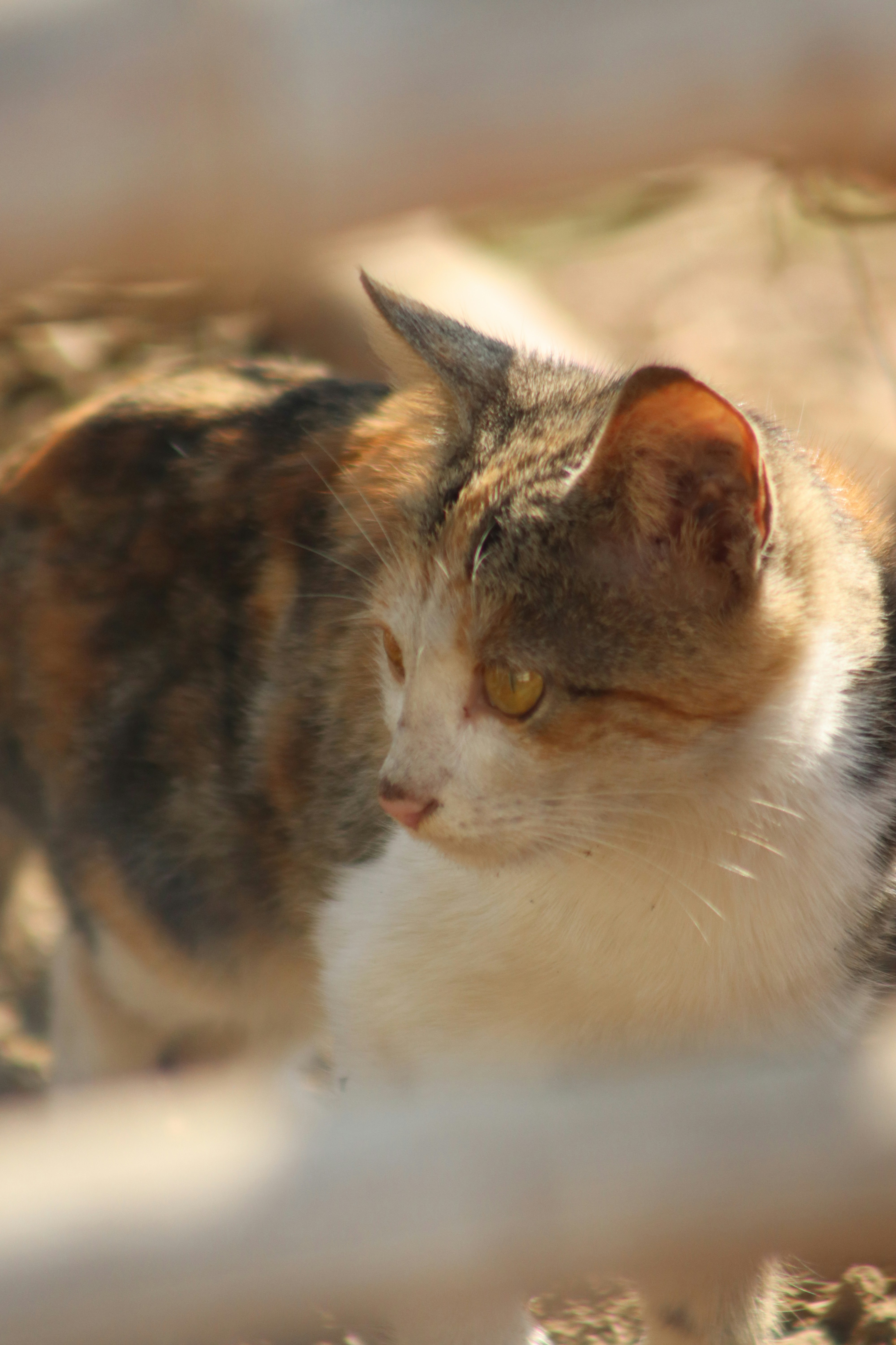 Photo by drphotographer152