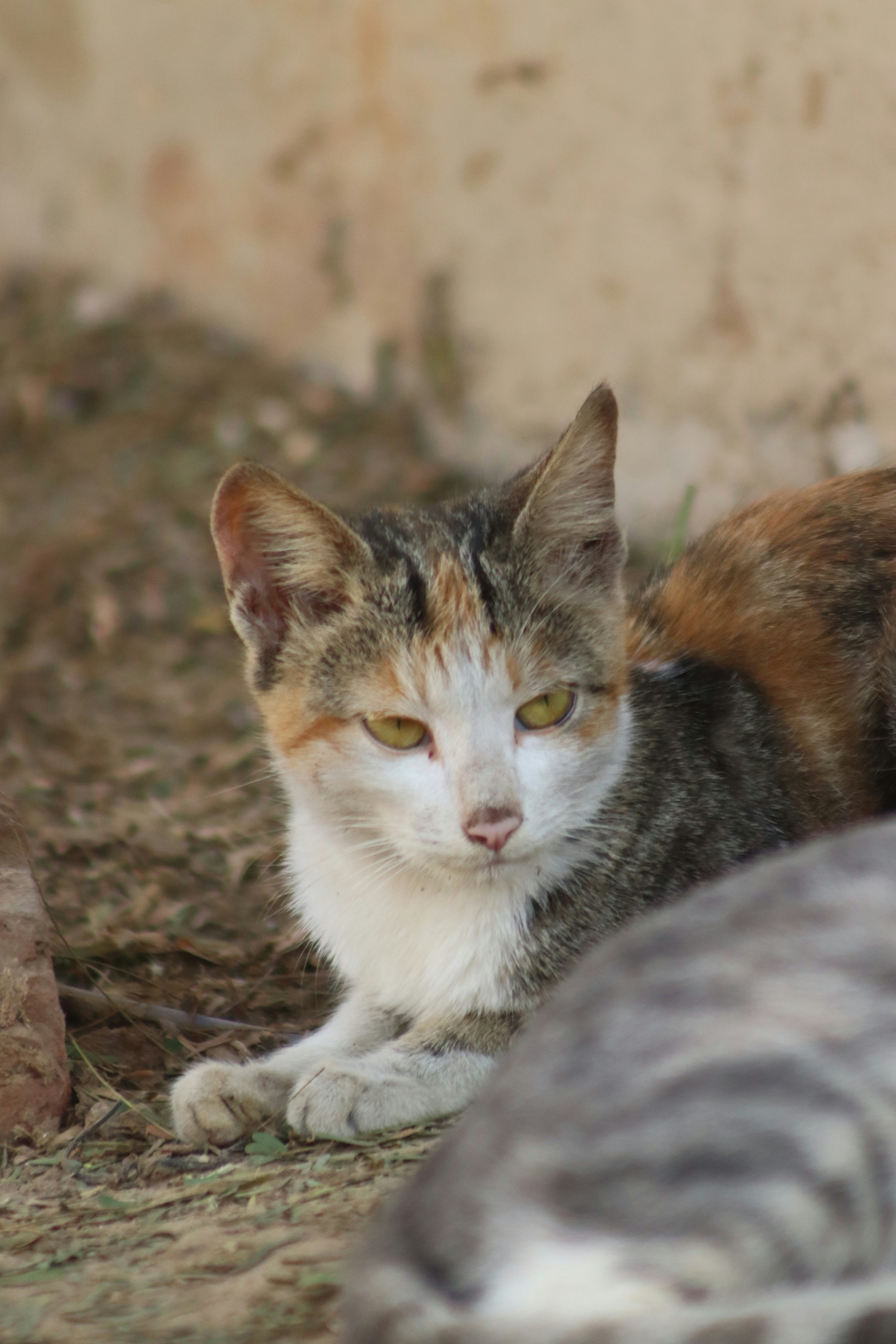 Photo by drphotographer152