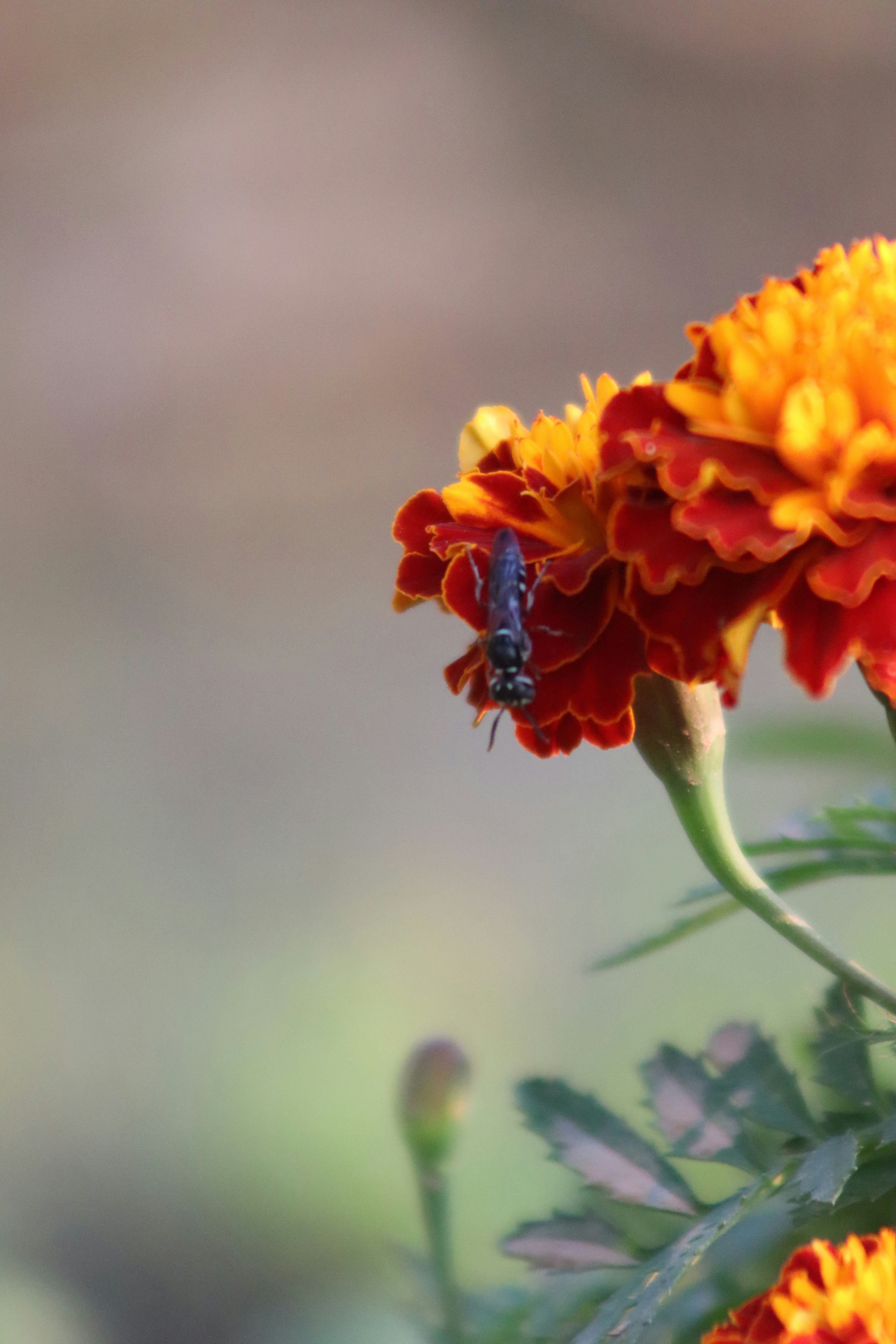 Photo by drphotographer152