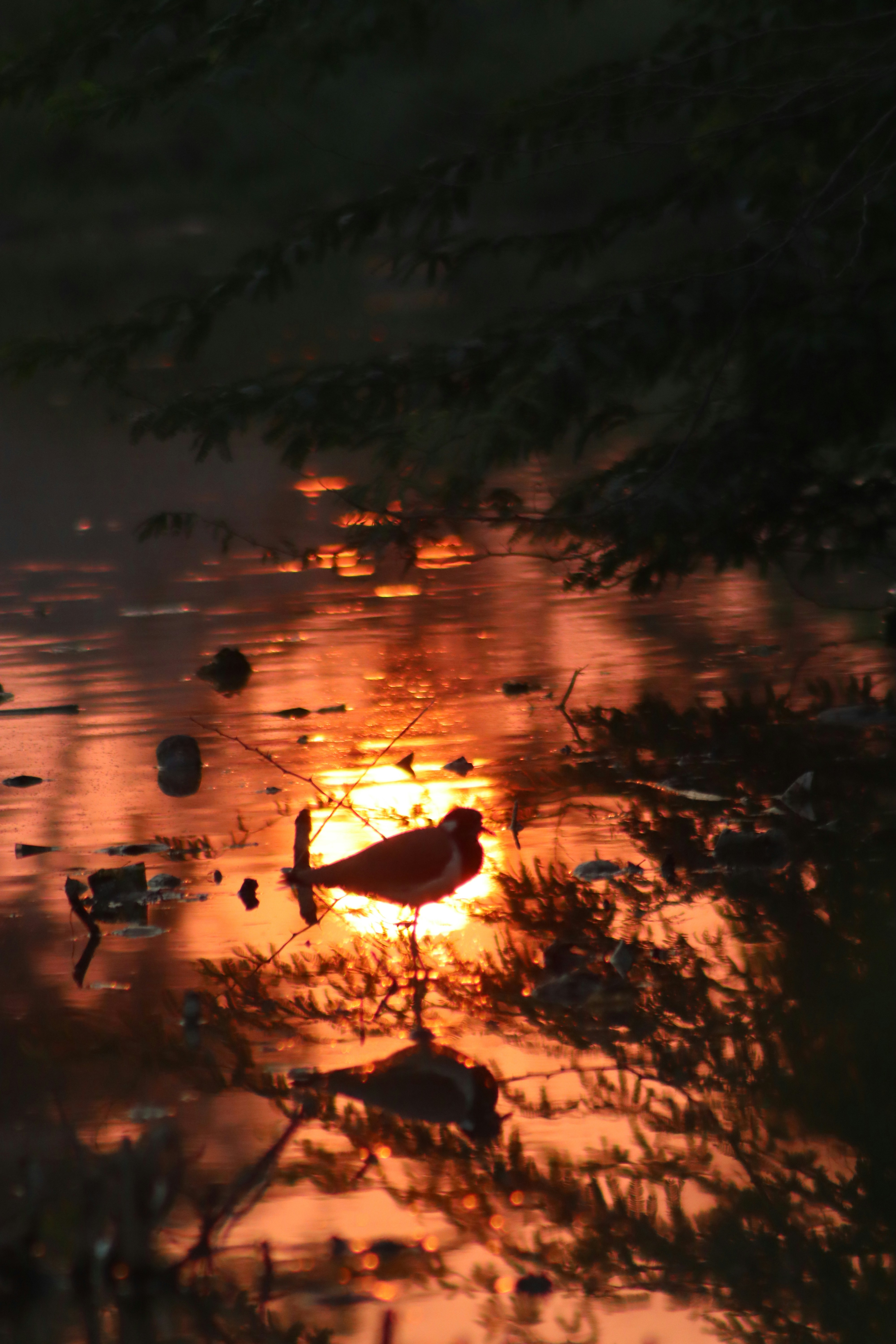 Photo by drphotographer152