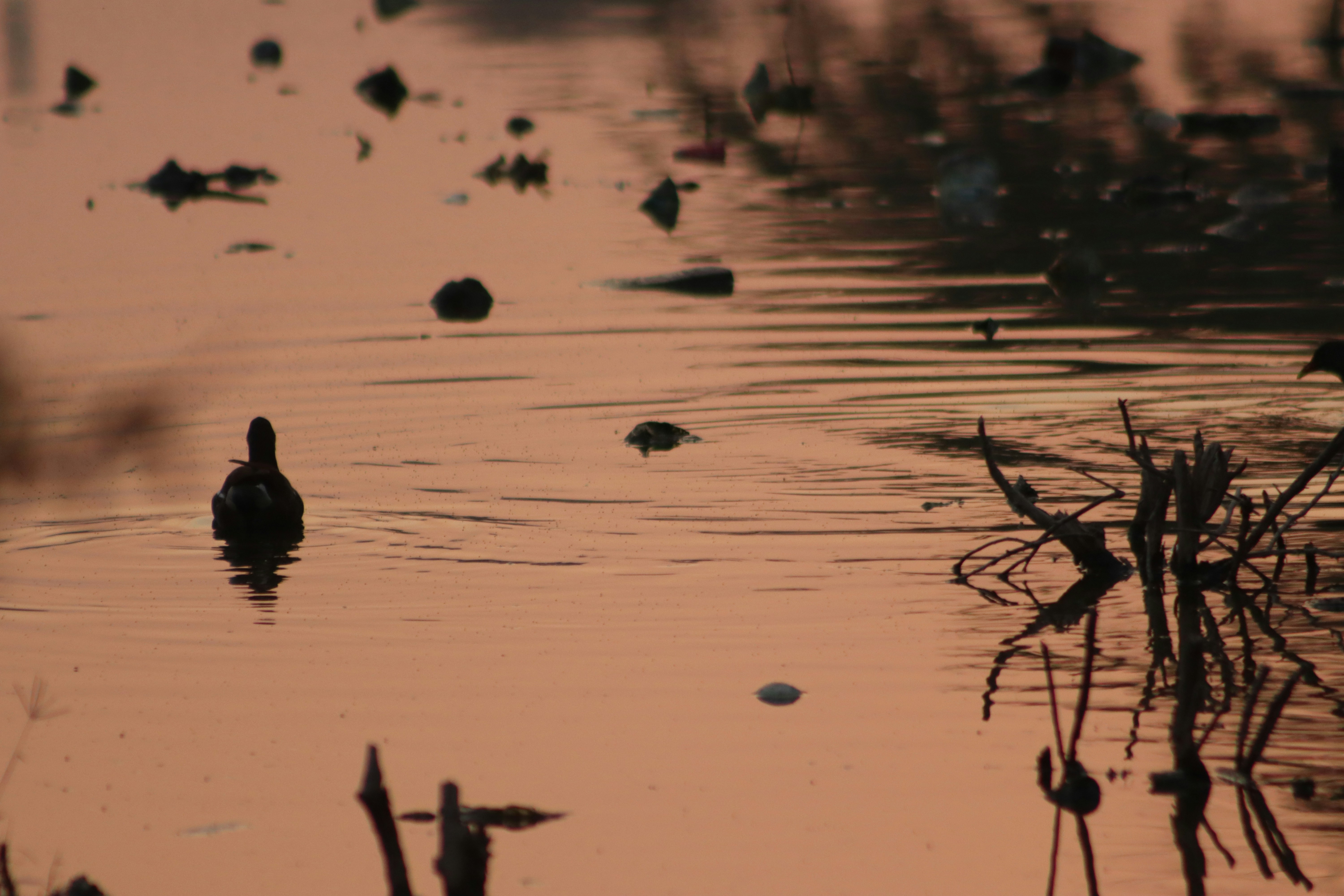 Photo by drphotographer152