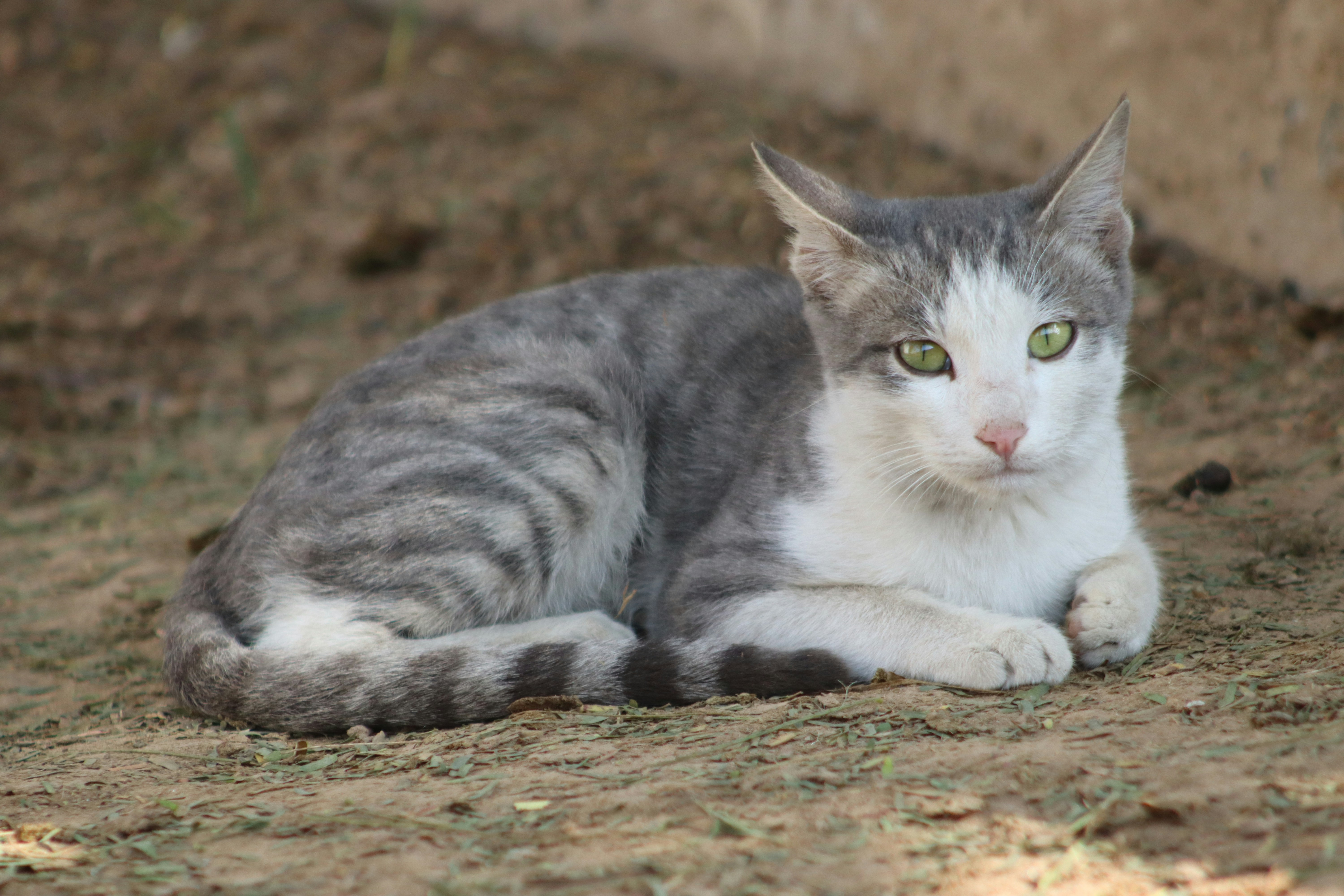 Photo by drphotographer152