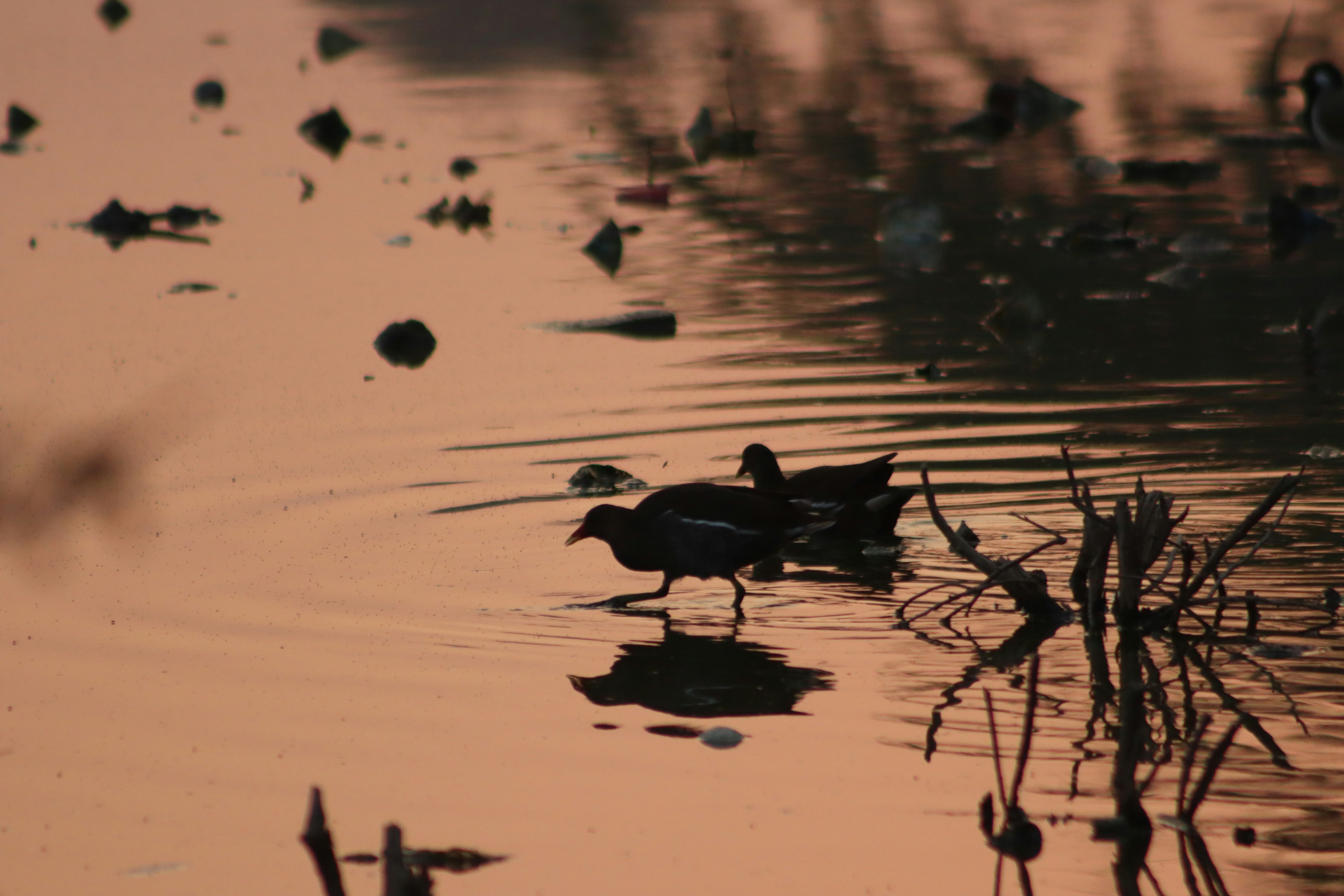 Photo by drphotographer152