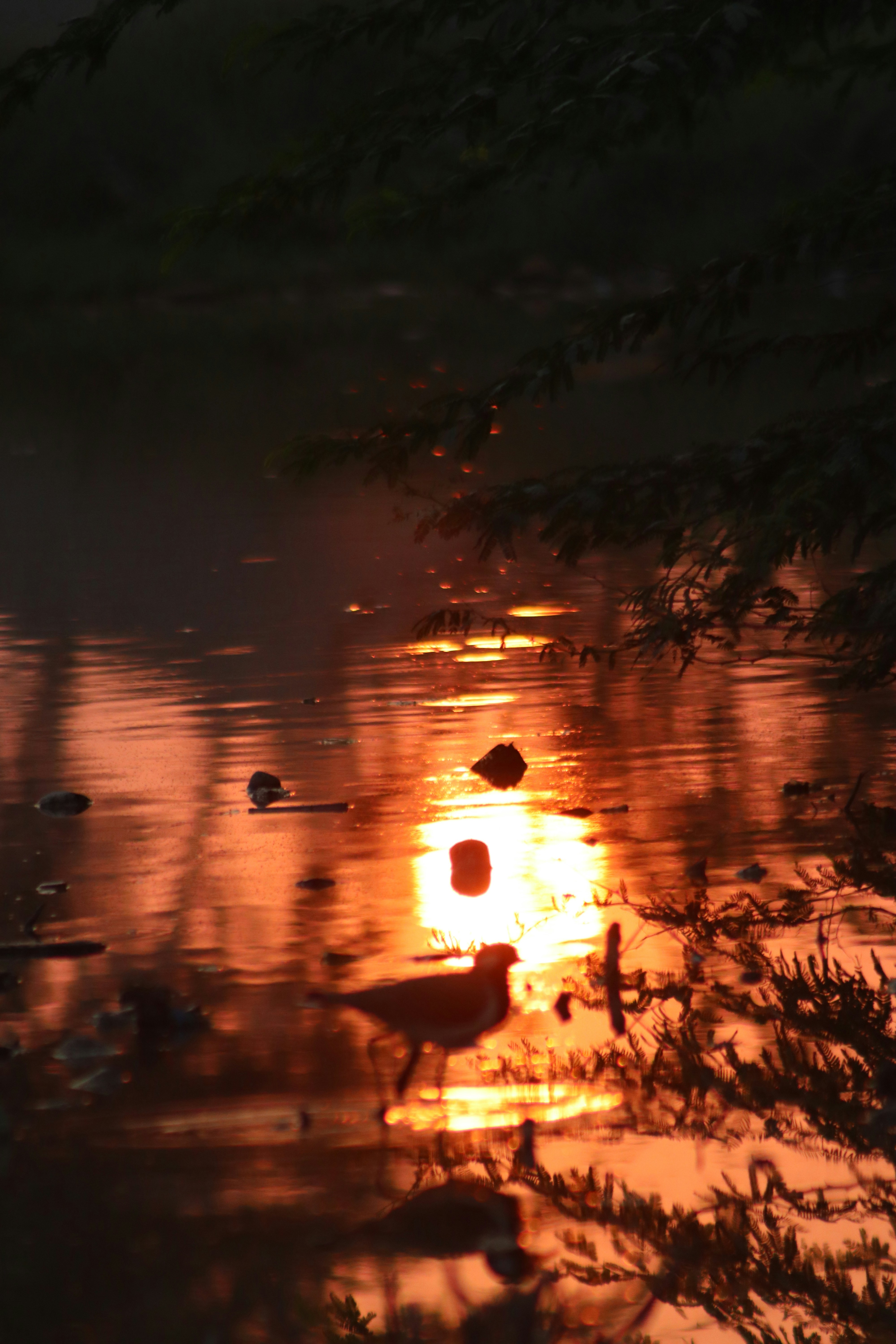 Photo by drphotographer152