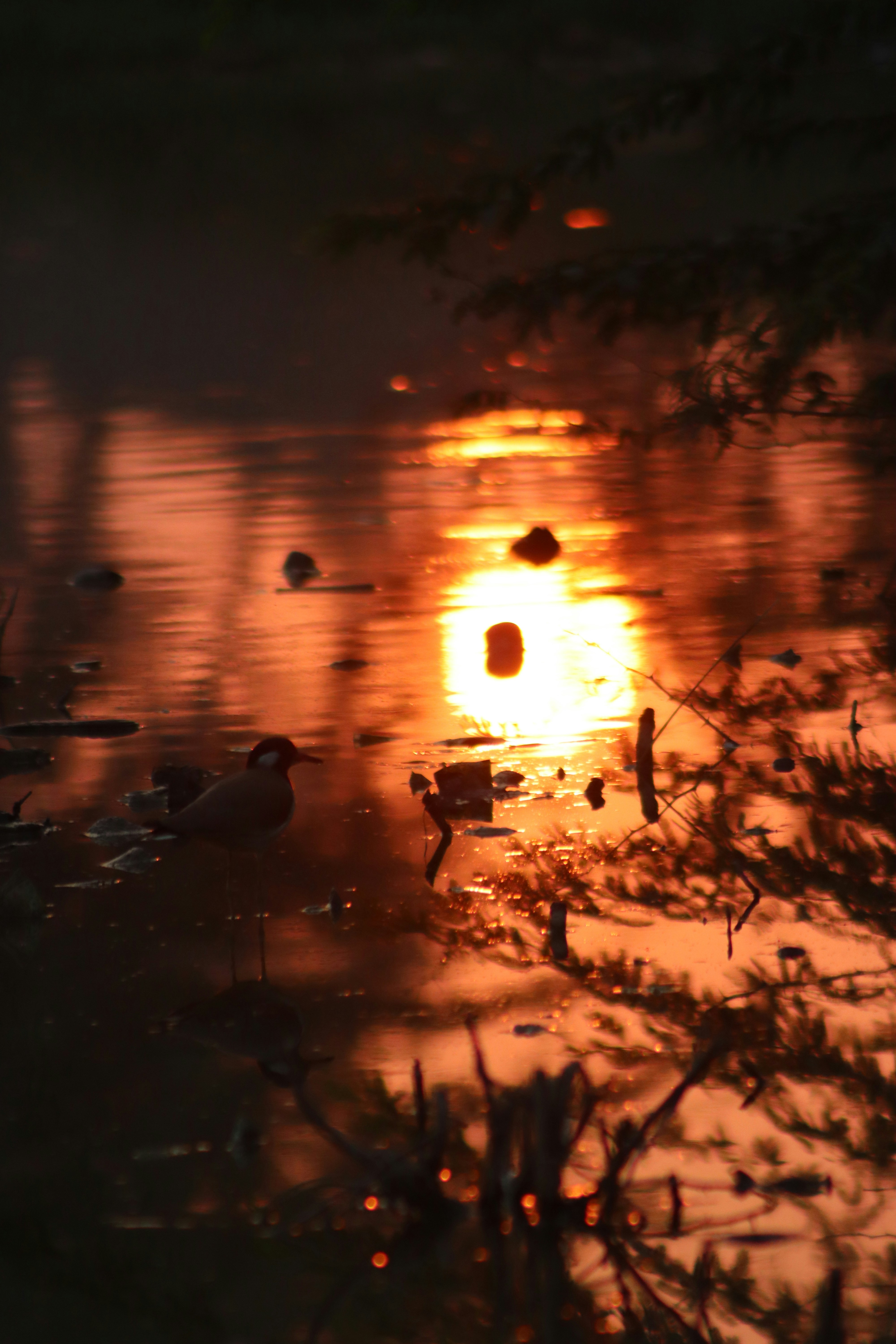 Photo by drphotographer152