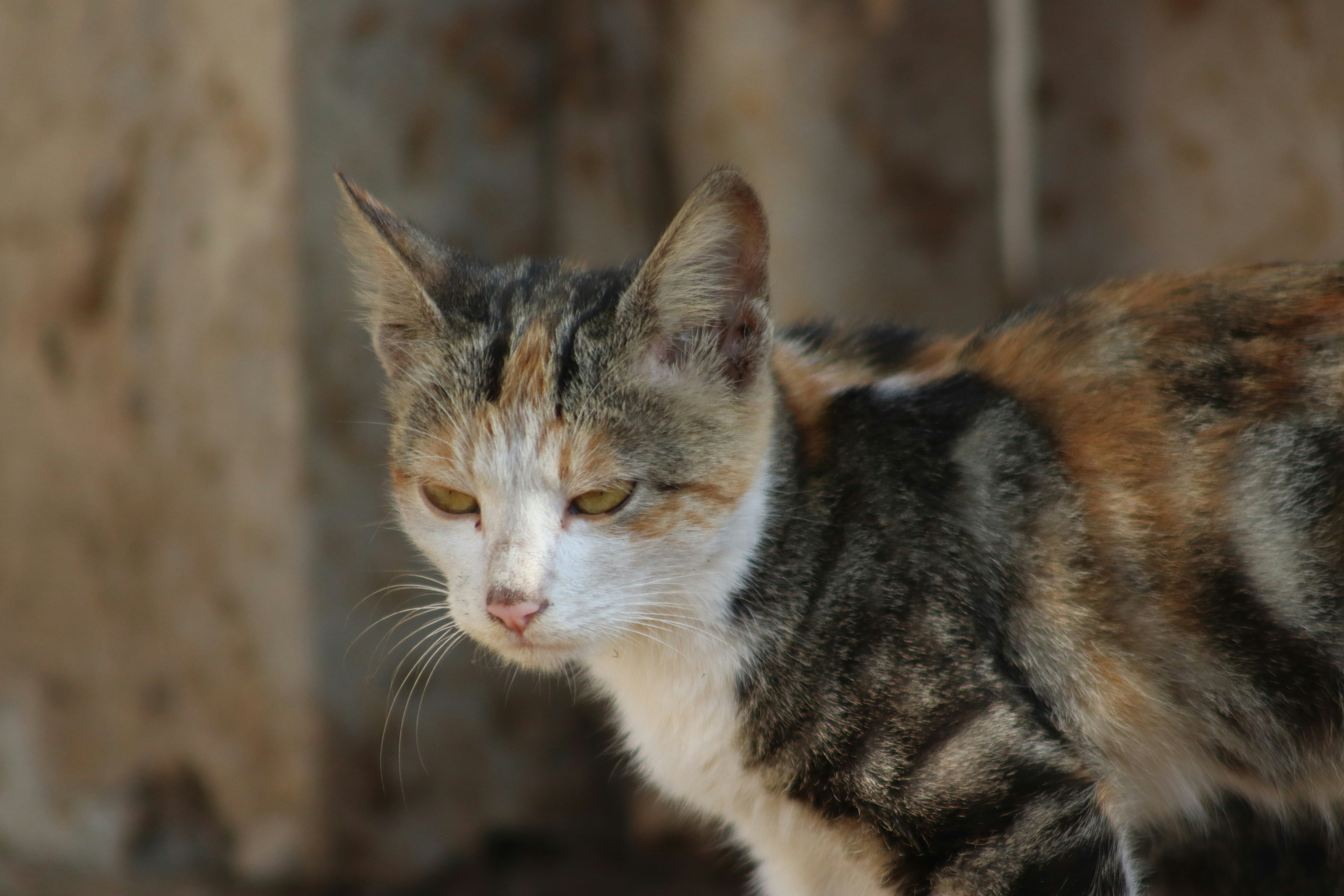 Photo by drphotographer152