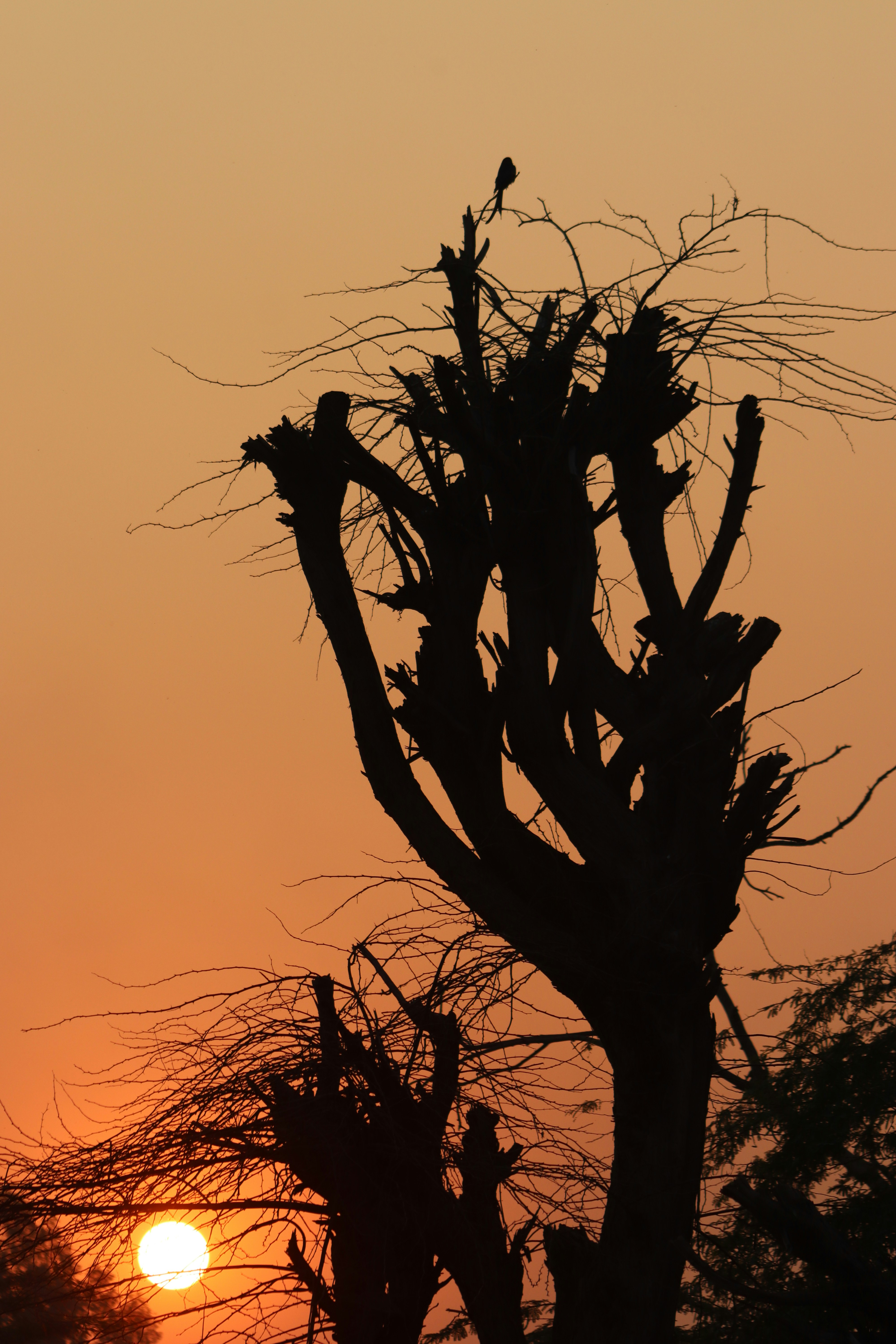 Photo by drphotographer152