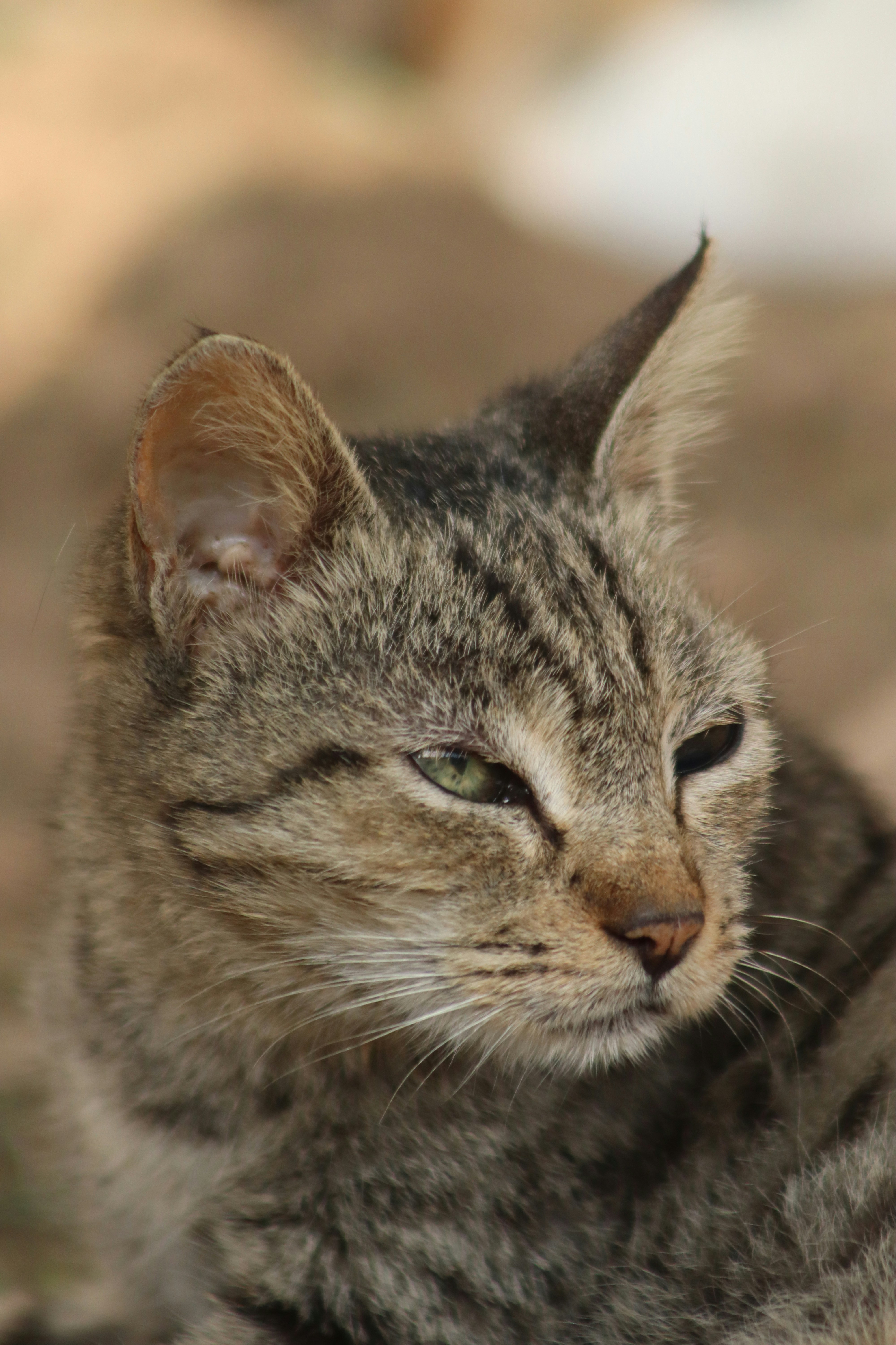 Photo by drphotographer152