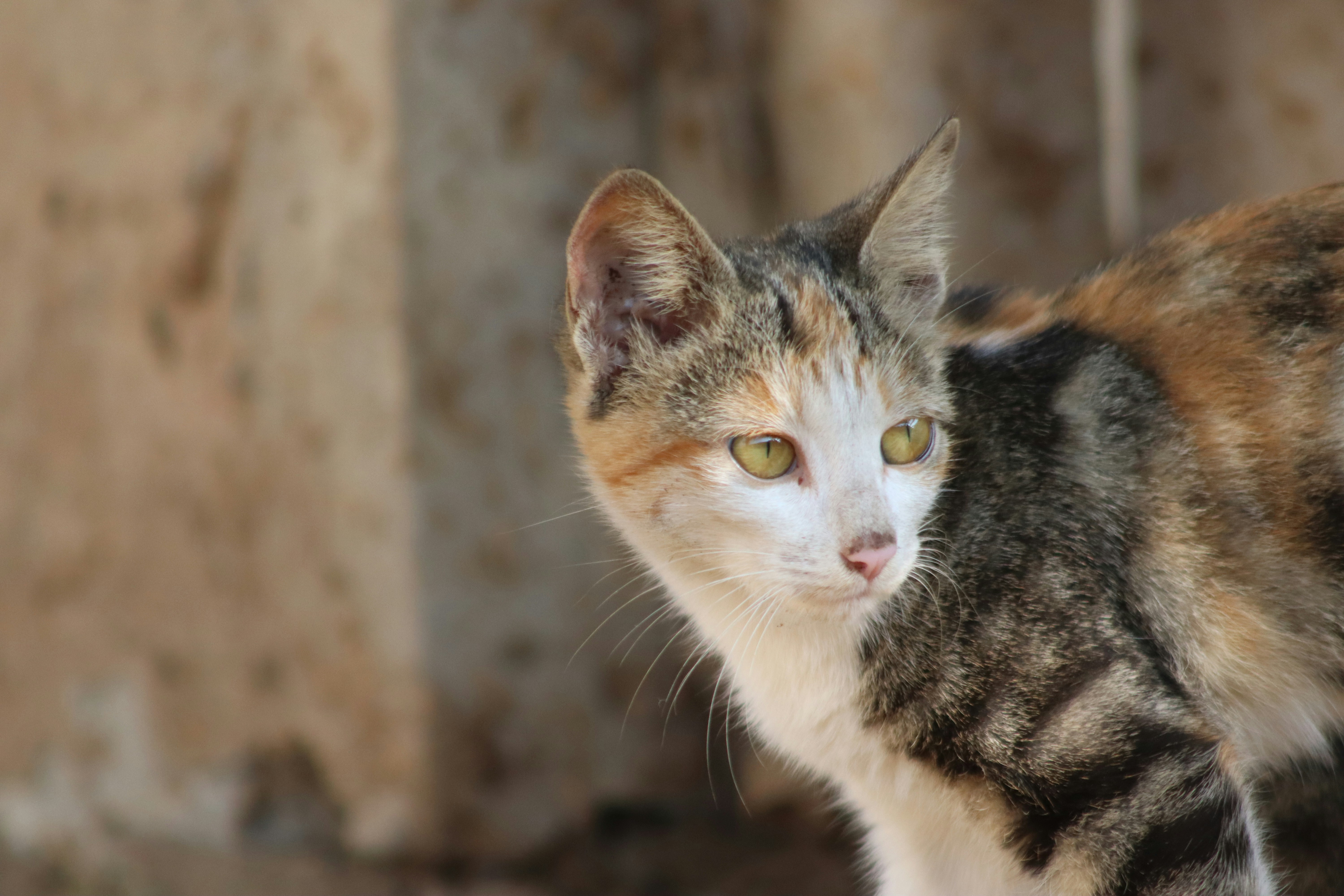 Photo by drphotographer152