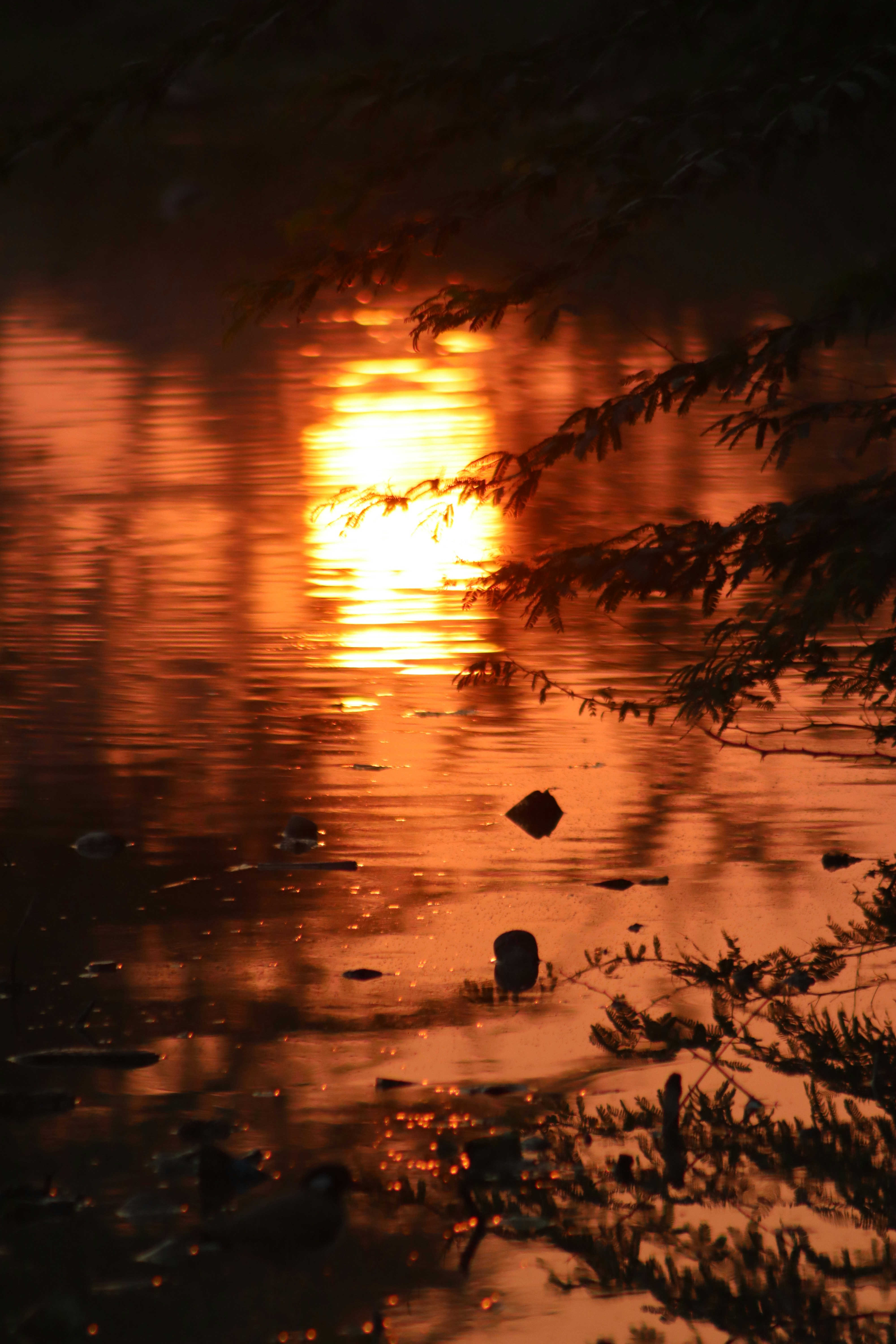 Photo by drphotographer152