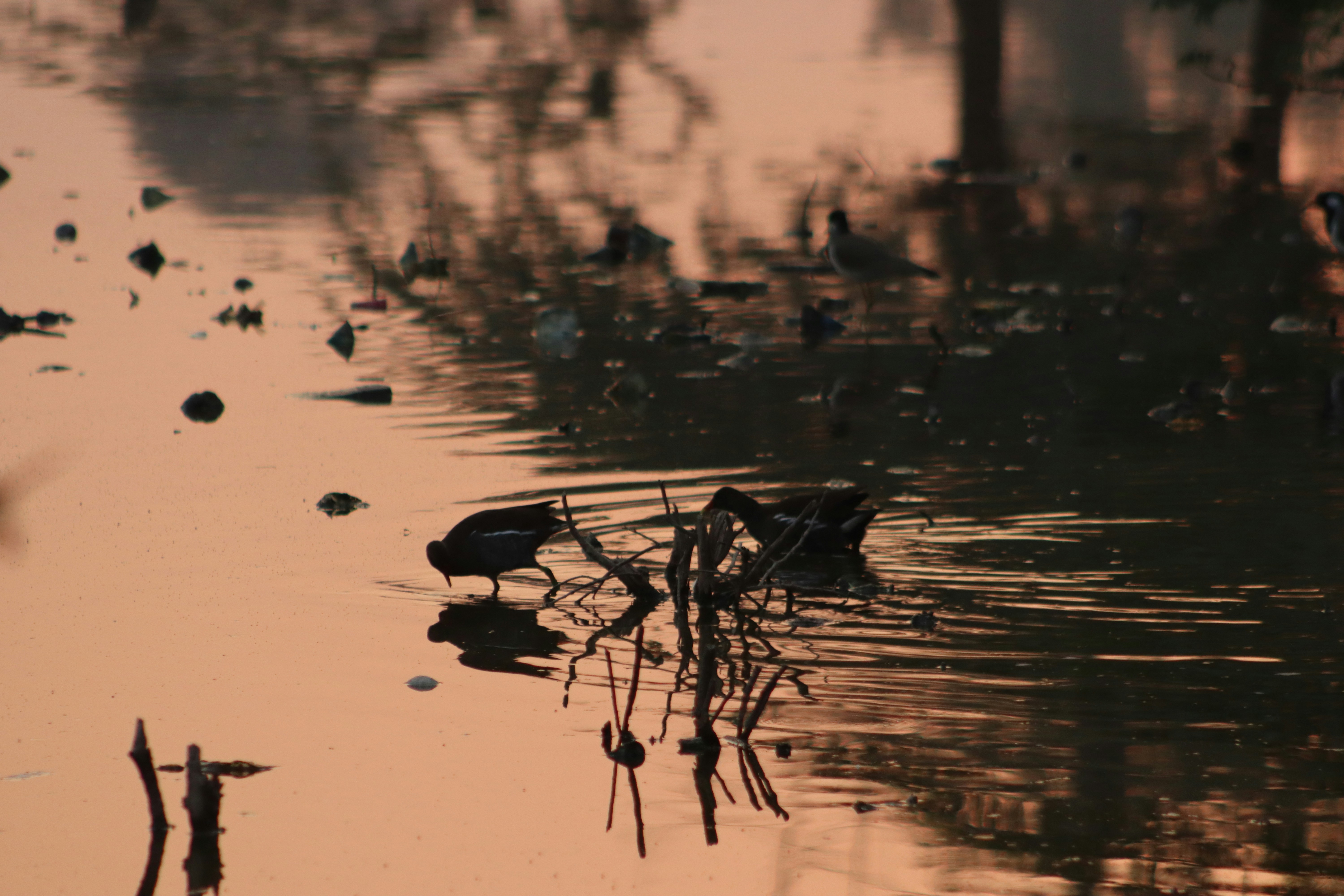 Photo by drphotographer152