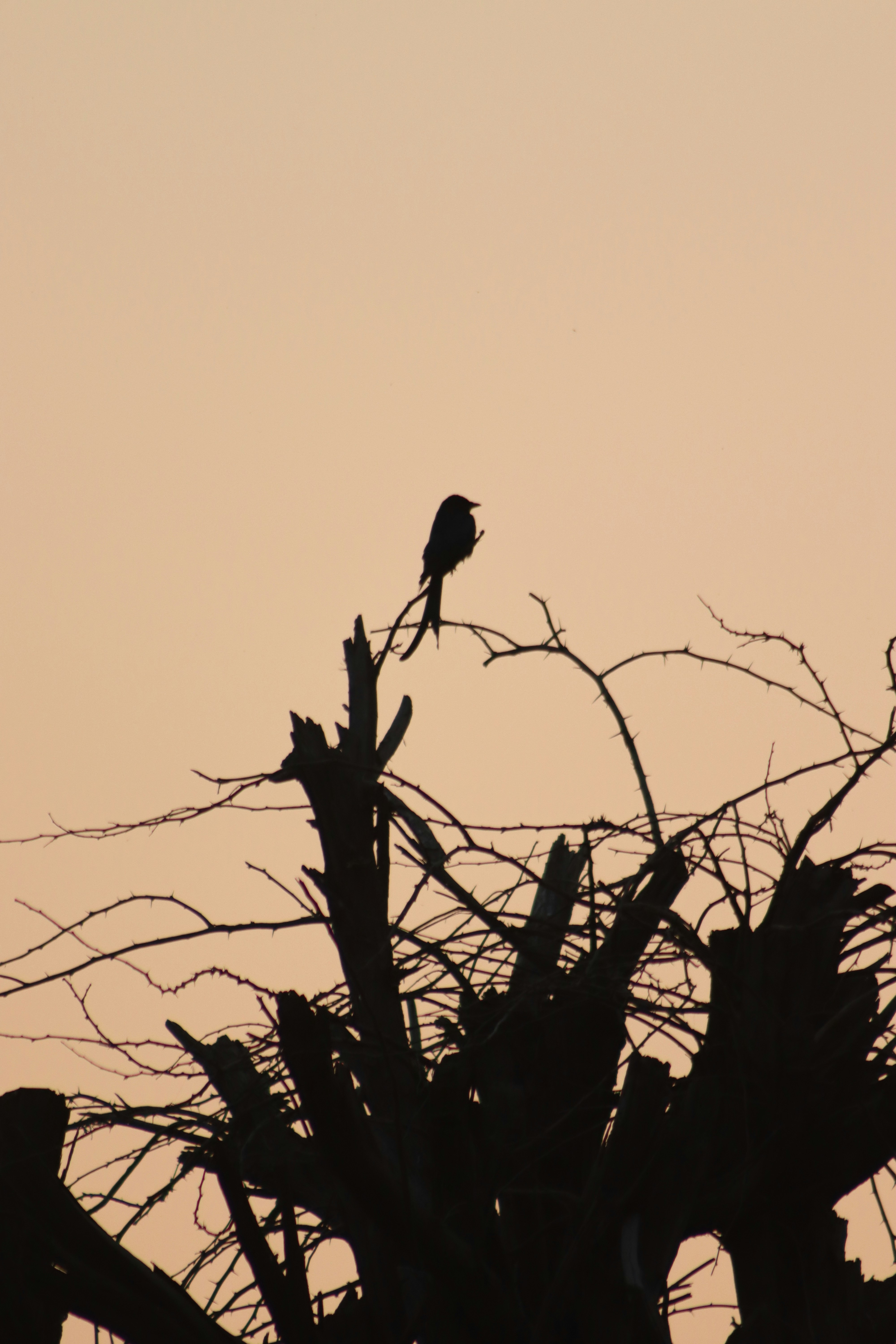 Photo by drphotographer152