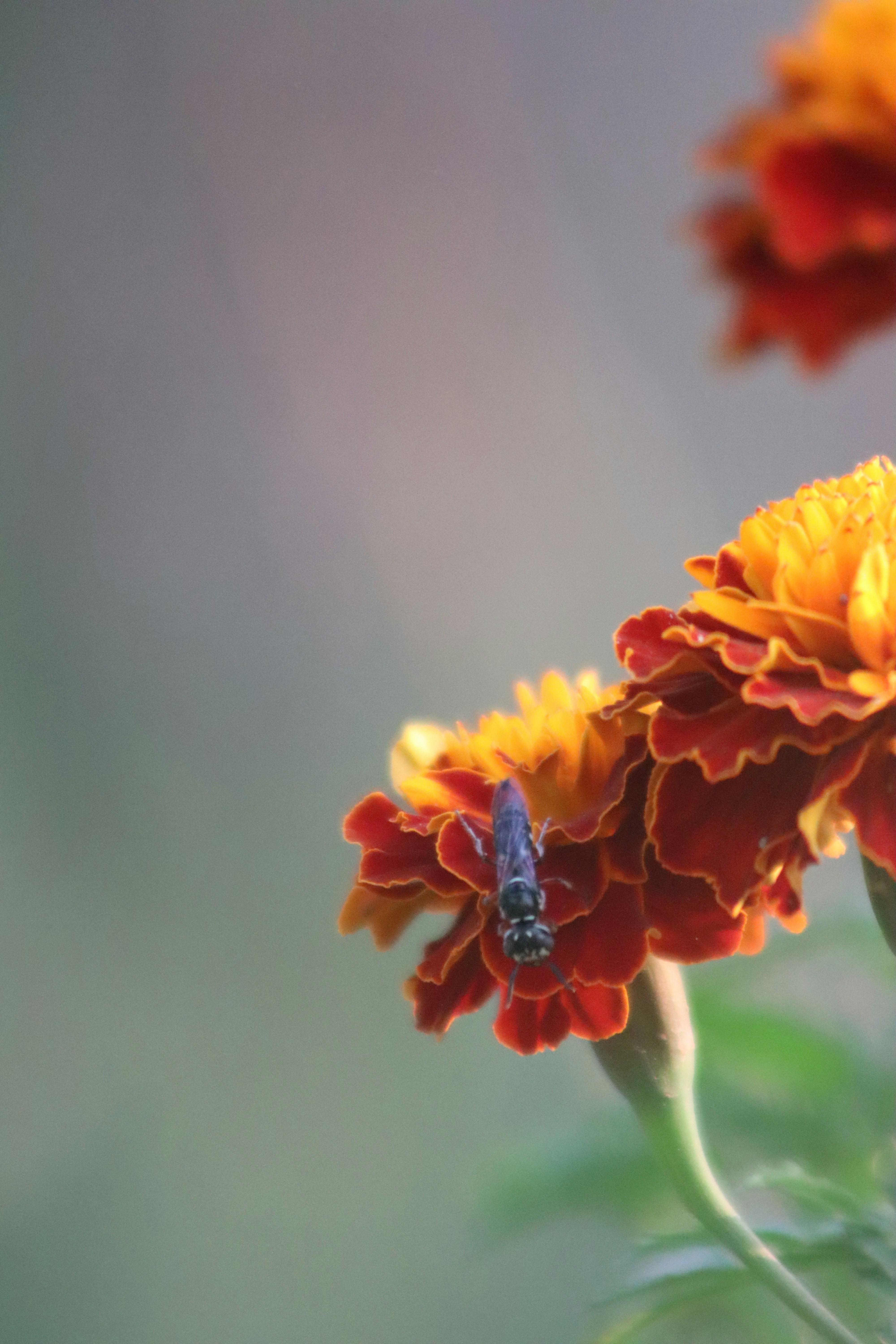 Photo by drphotographer152