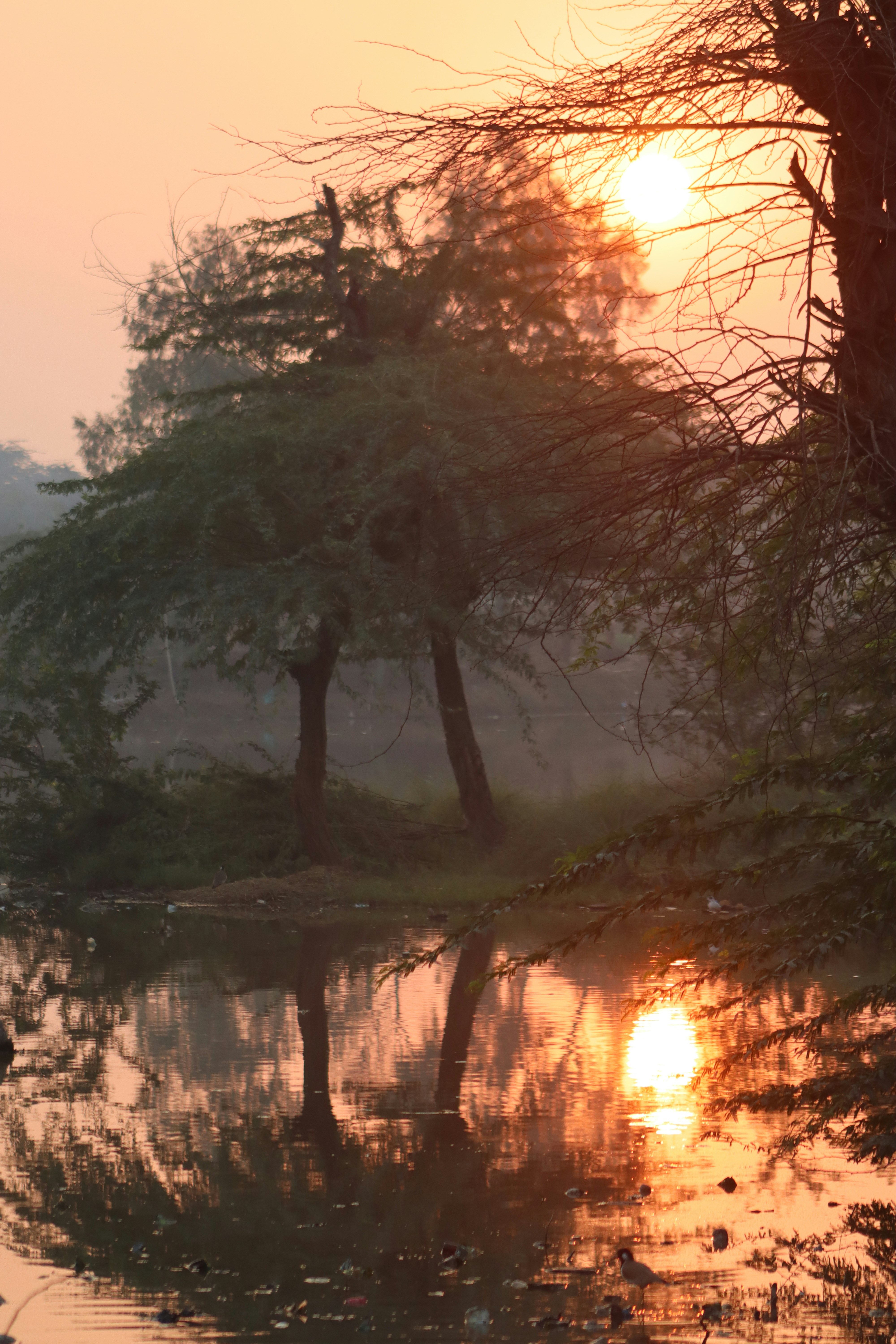 Photo by drphotographer152