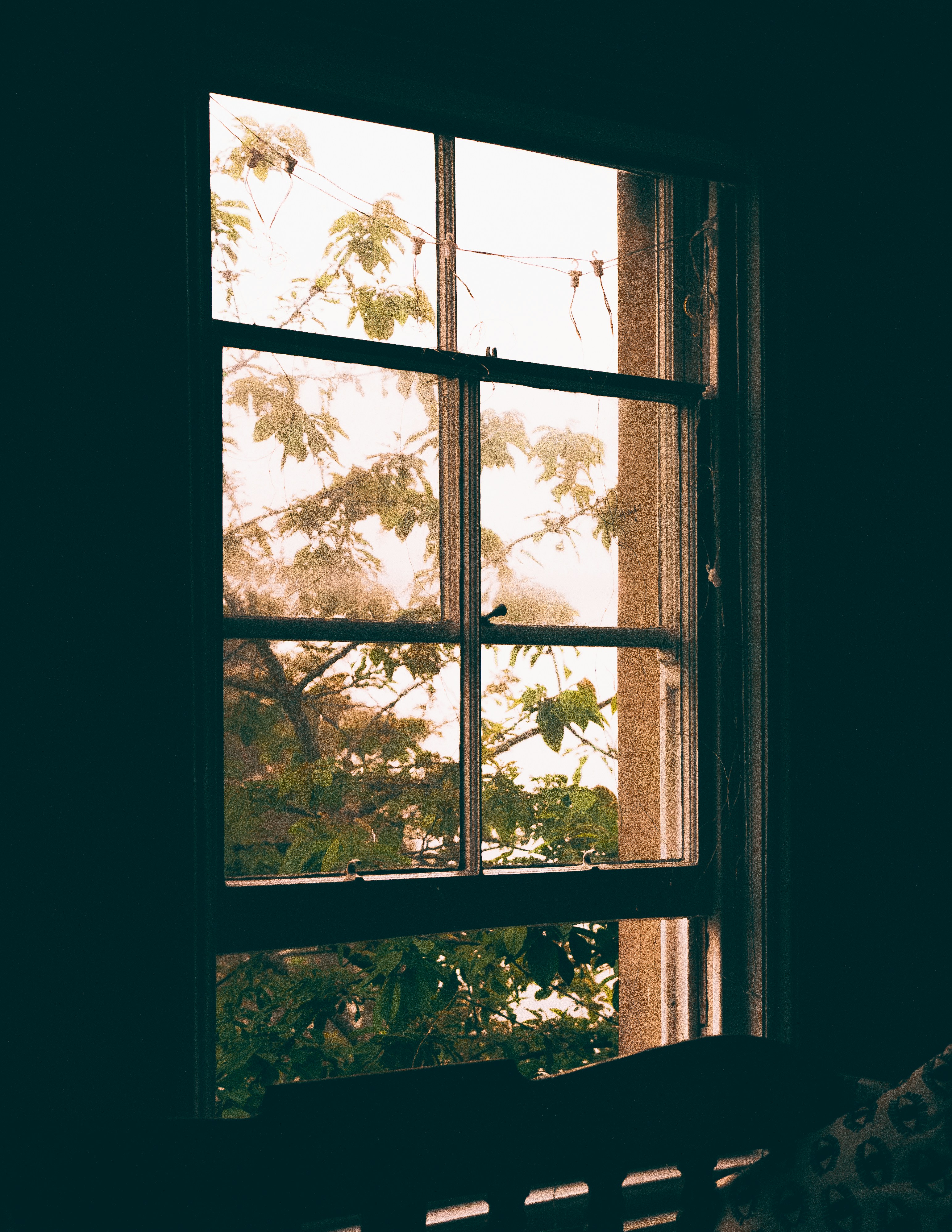 A window with a view of trees outside
