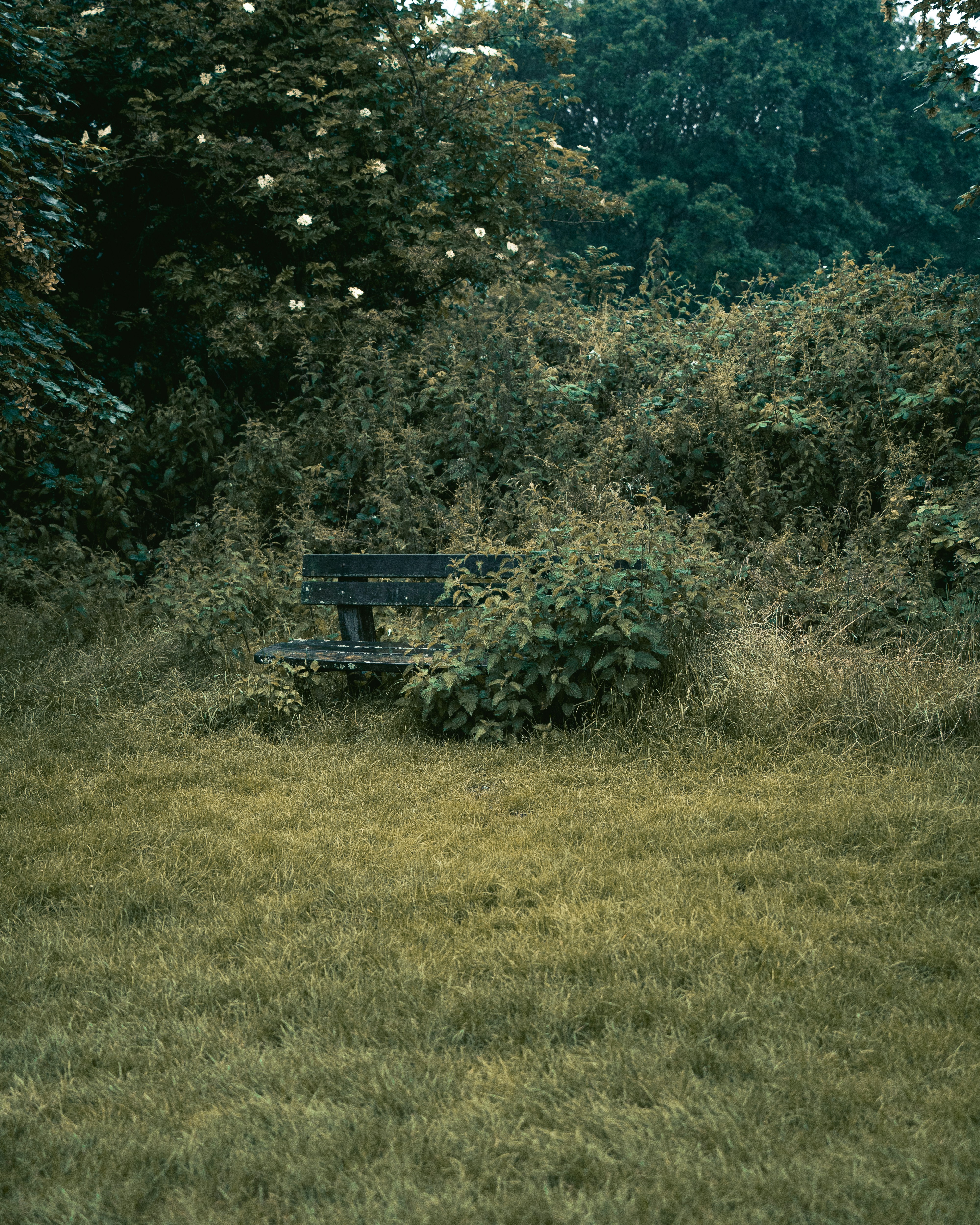 A park bench sitting in the middle of a field