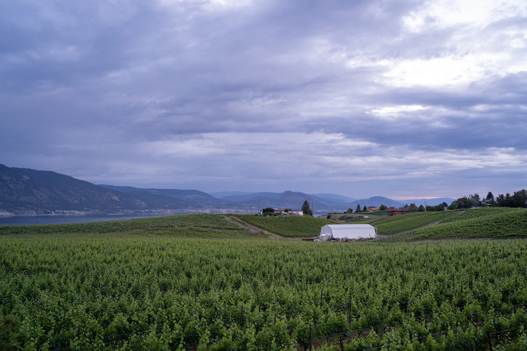 Farmland with a barn in the distance near Lumby