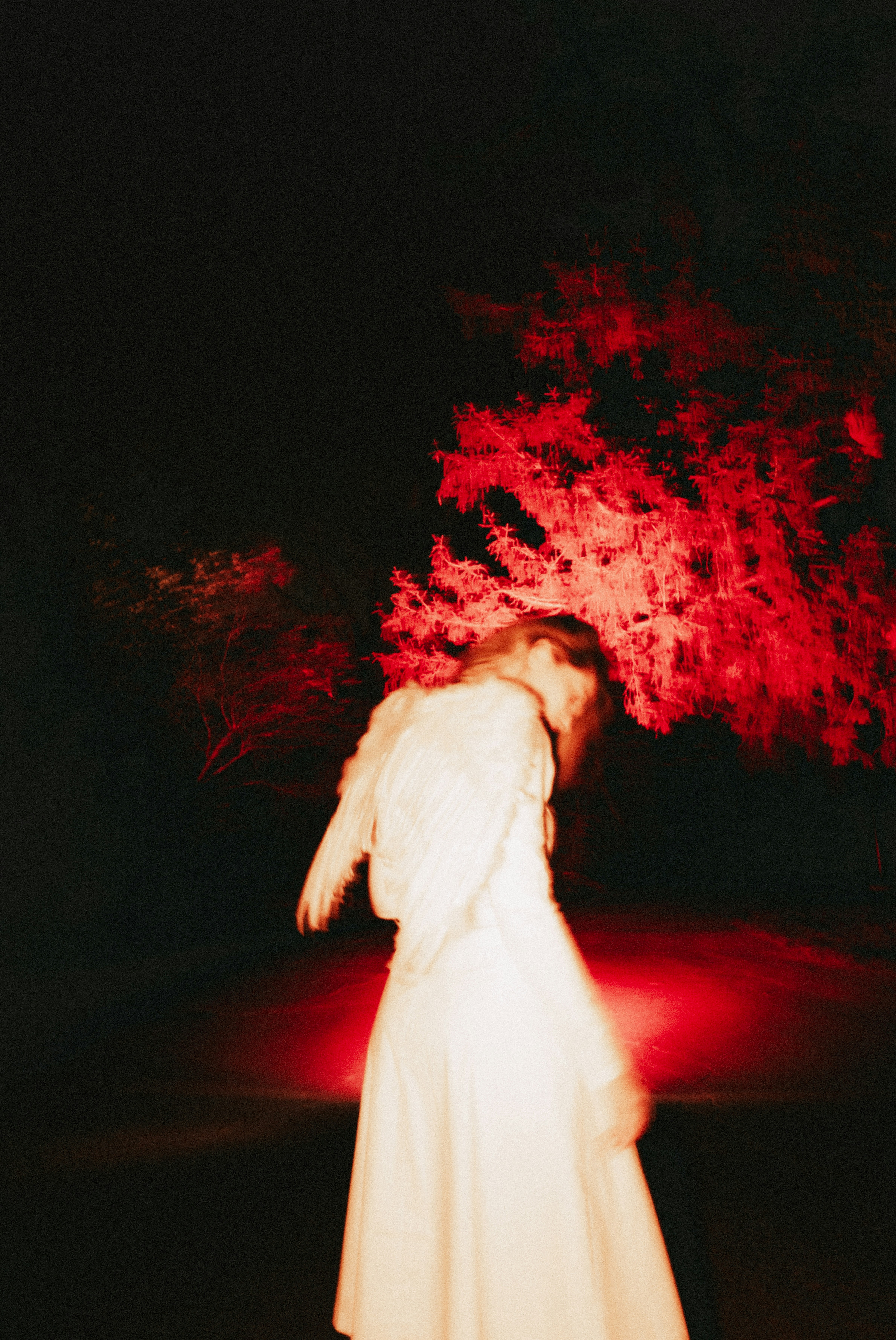 A woman in a white dress standing in front of a tree photo – Free King ...