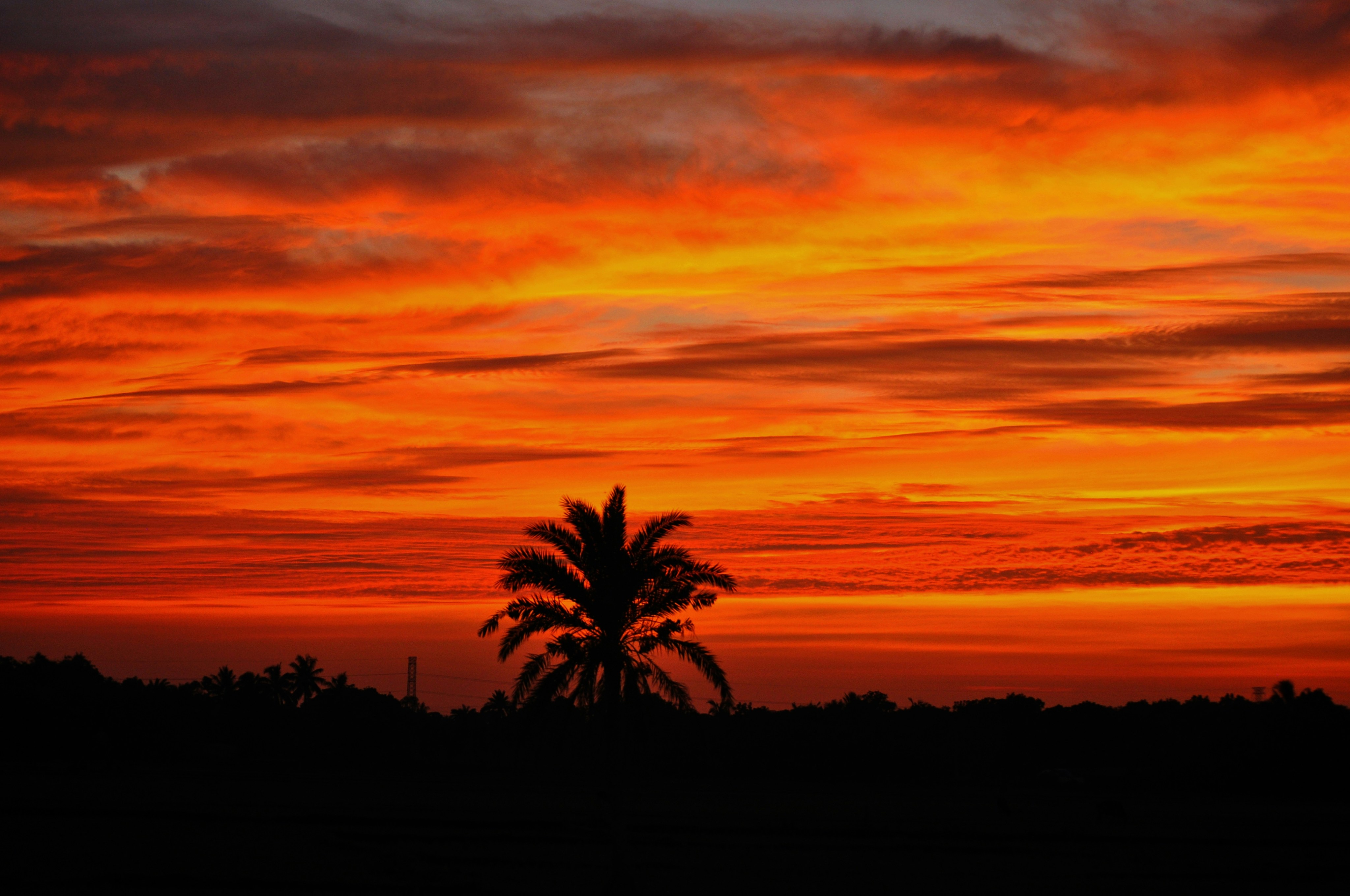 Photo by sahjahansagor