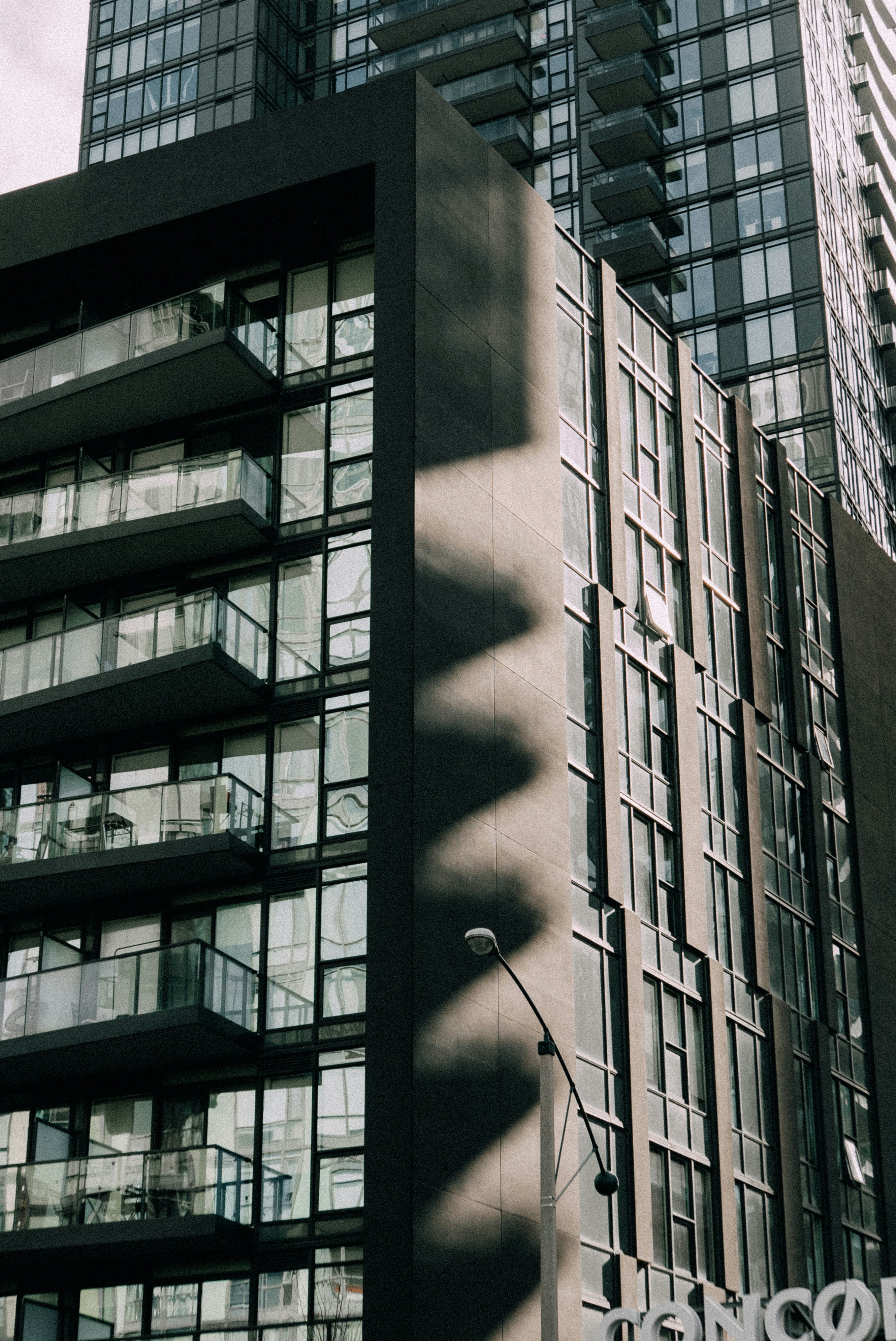 Photo by vitalymazur