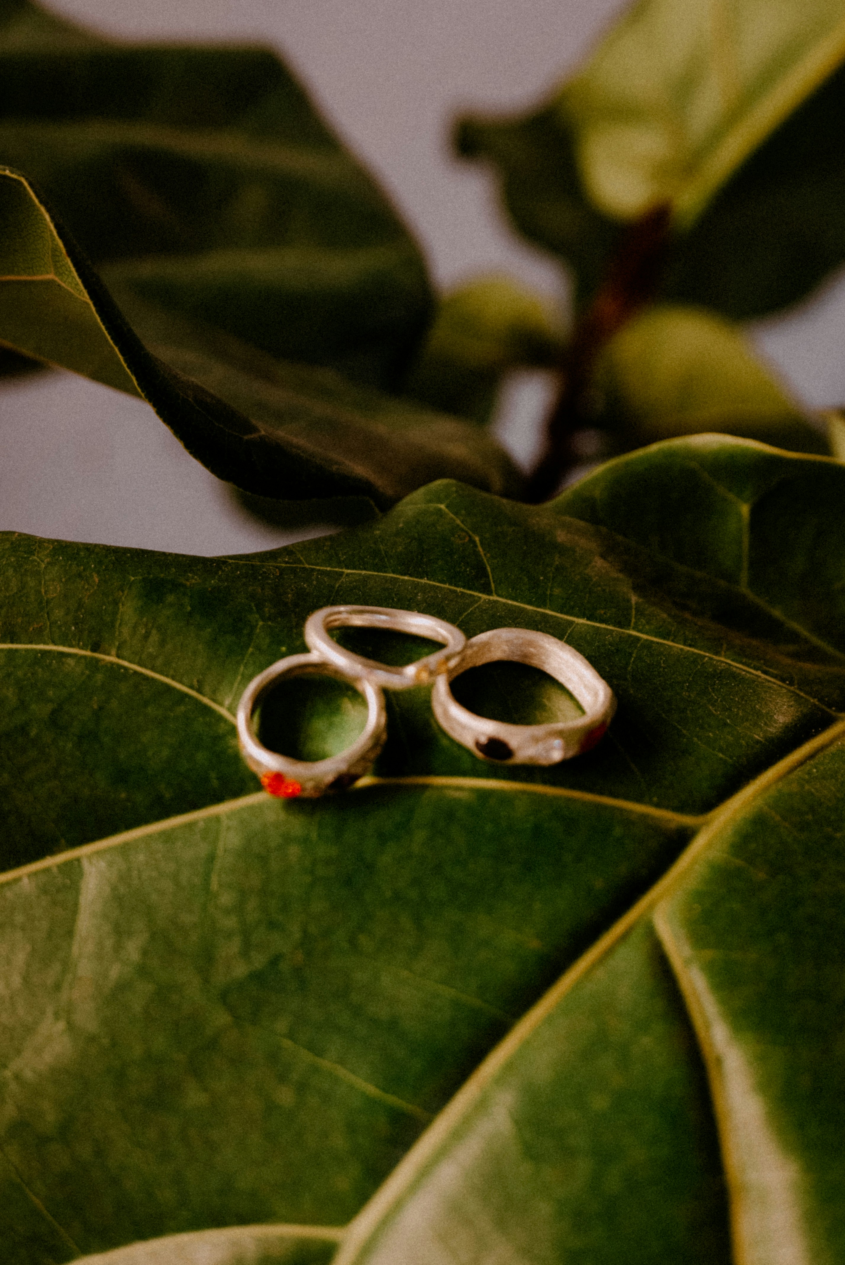 Photo by vitalymazur