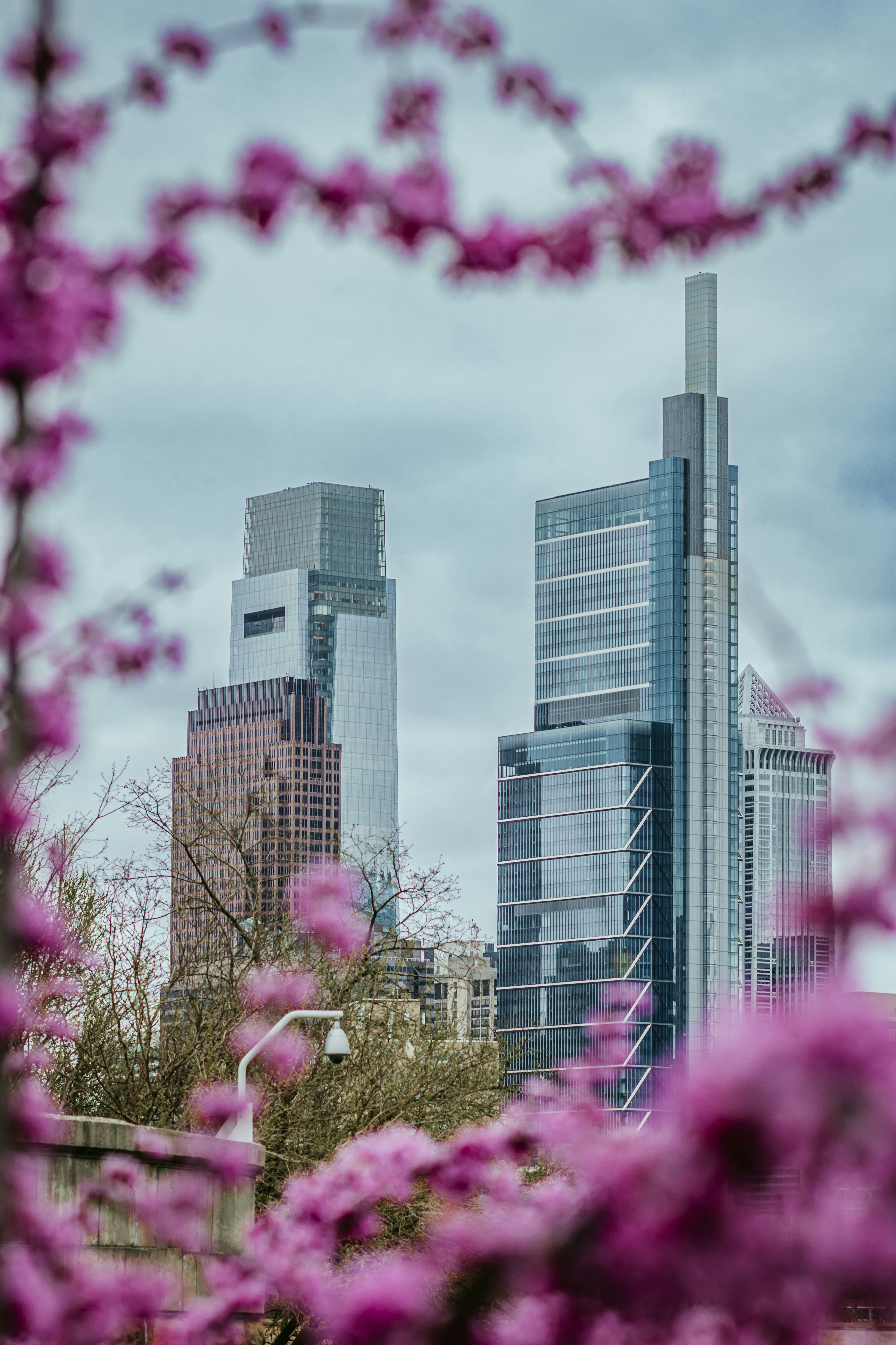 Photo by thatcreativeguy