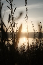 The sun is setting over a body of water