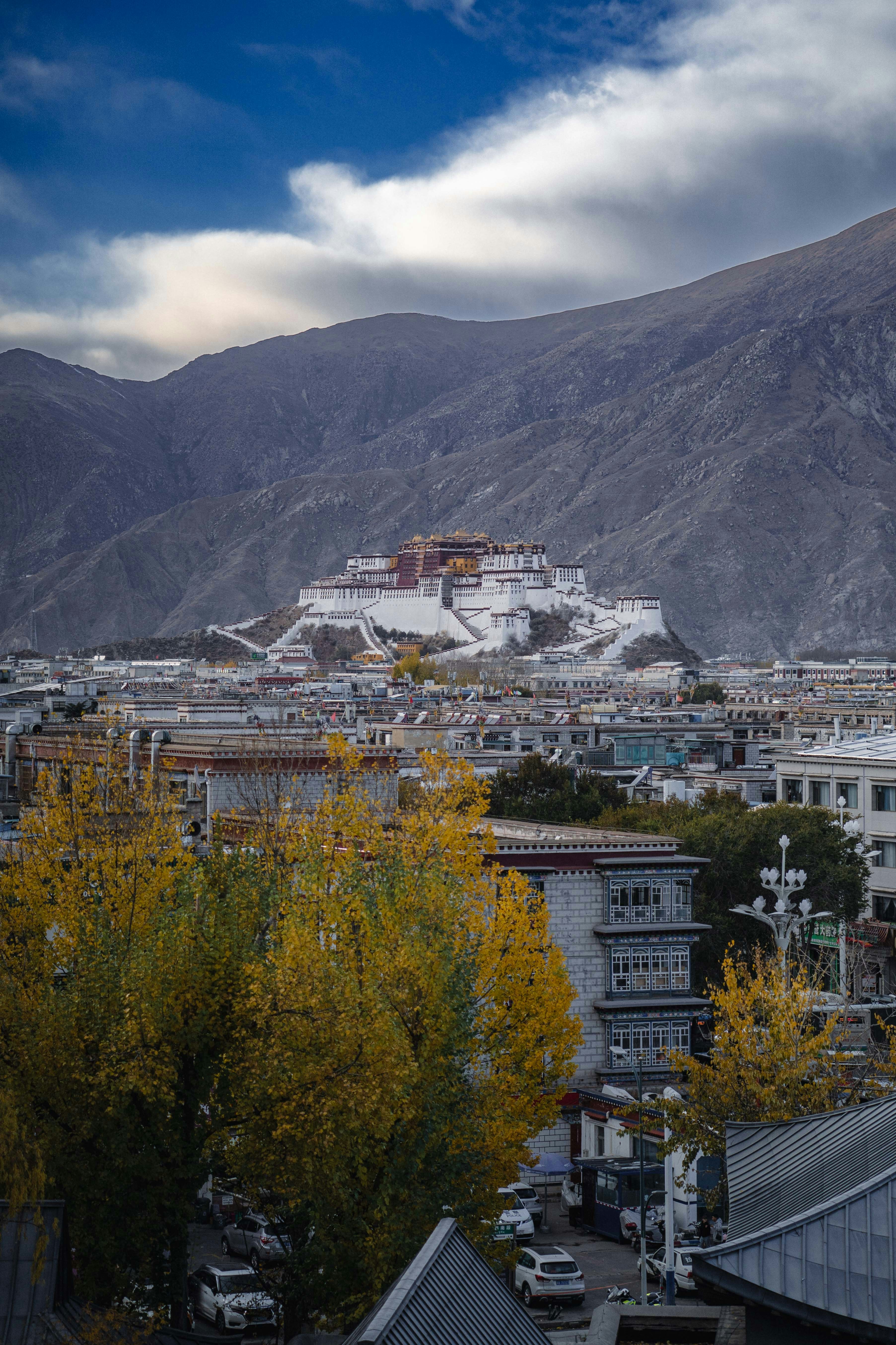 A view of a city with mountains in the background