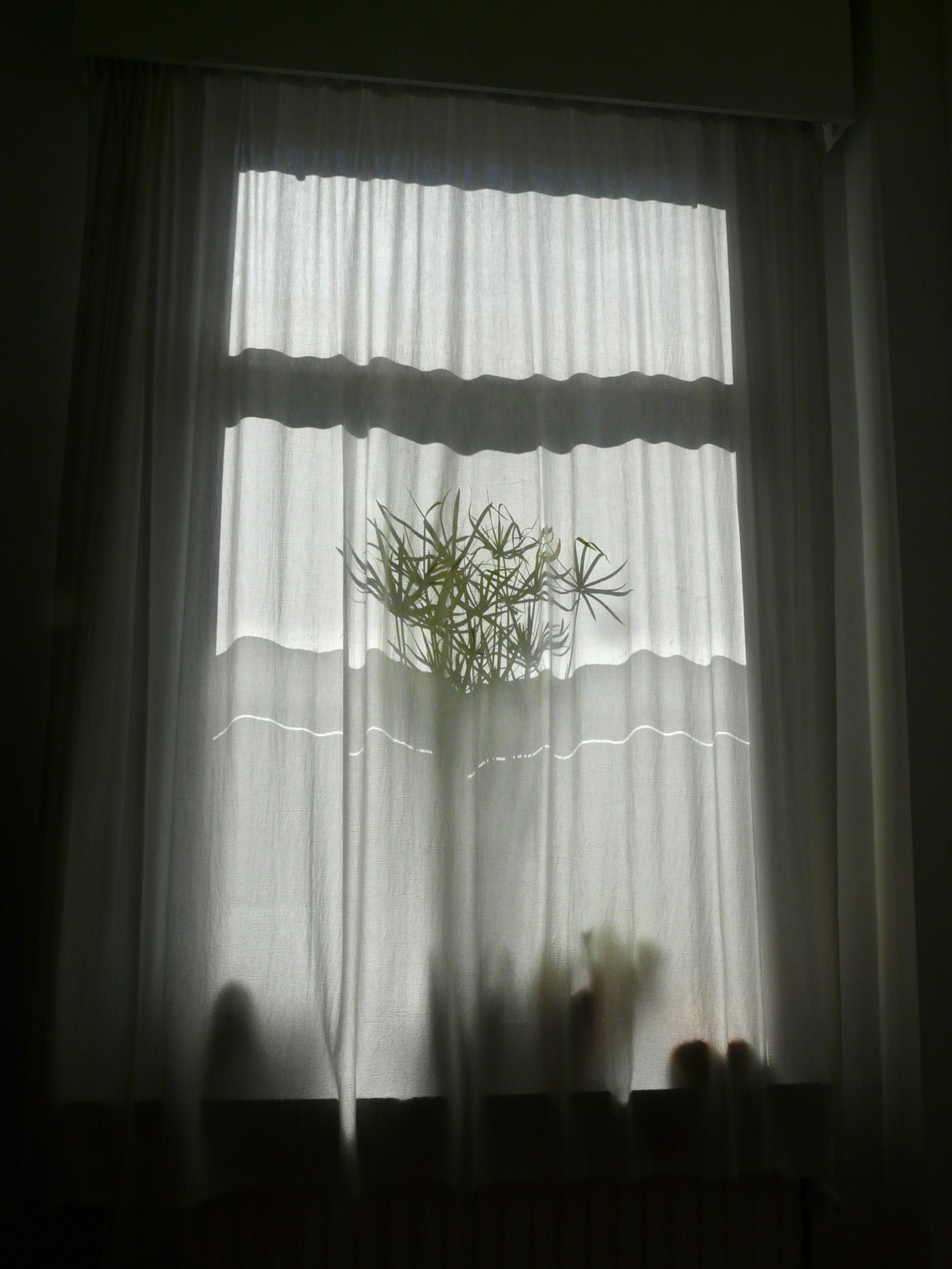 Photo by ton_haarmans