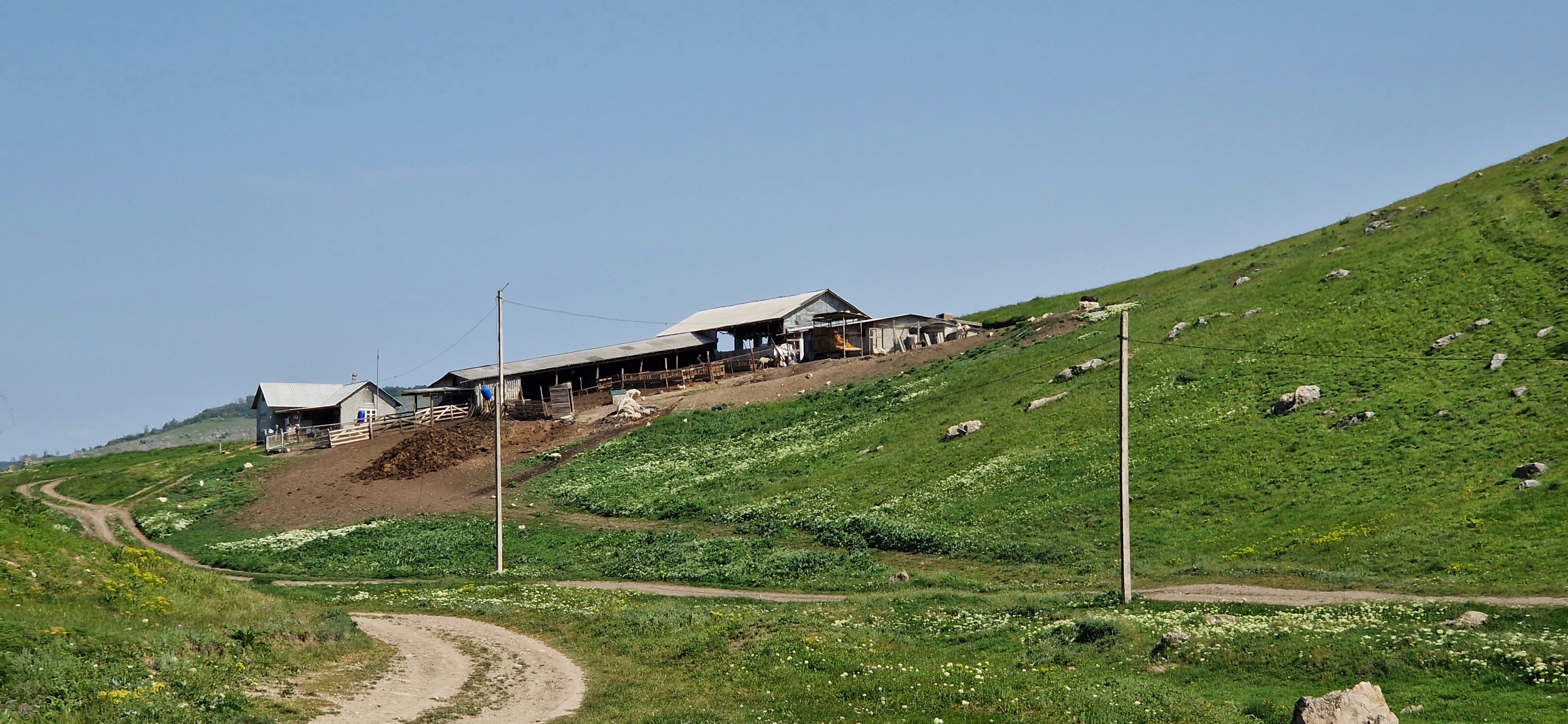 Open rural property with cleared land and natural grassy terrain in warm afternoon light