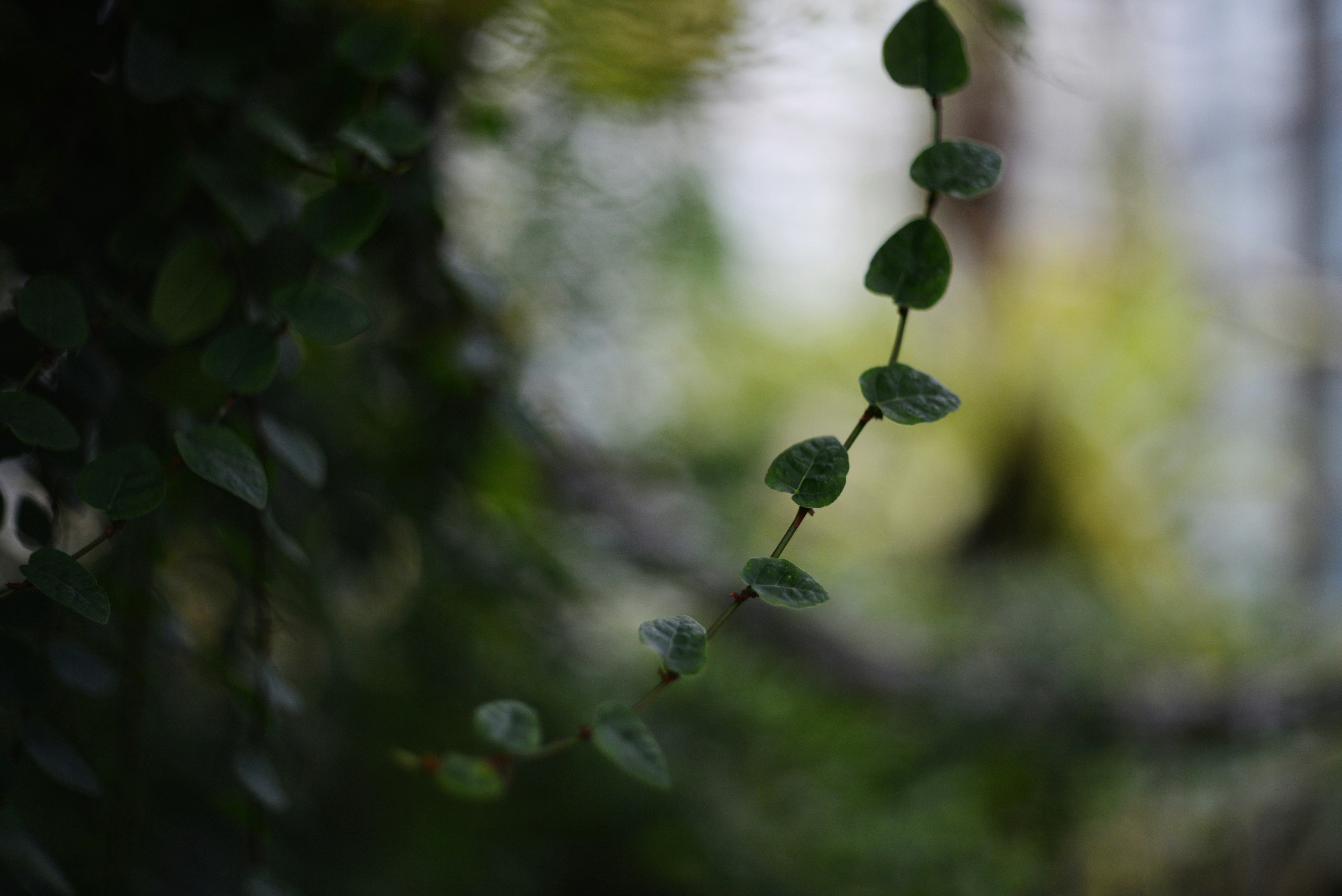 Photo by cherstve_pechivo