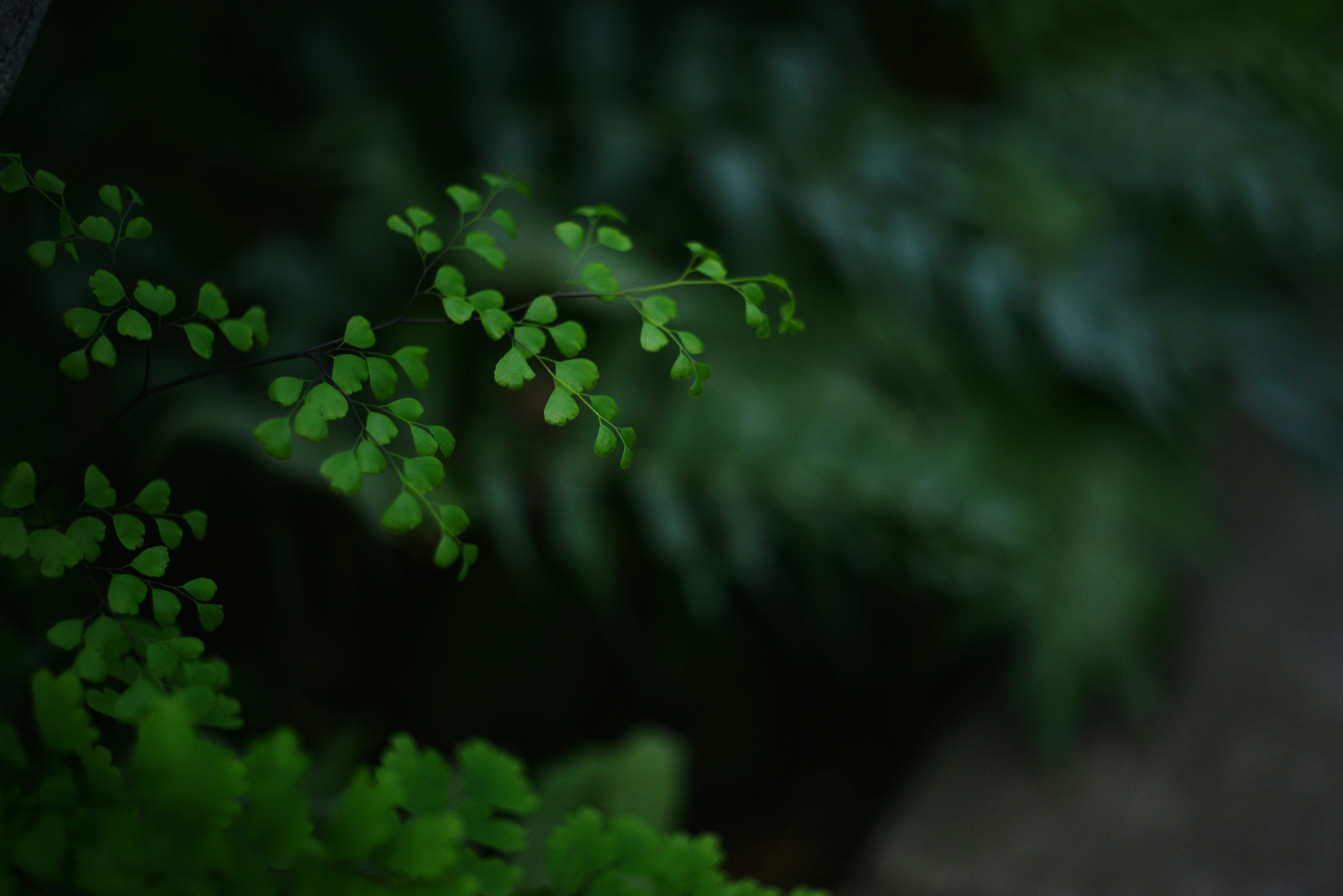 Photo by cherstve_pechivo