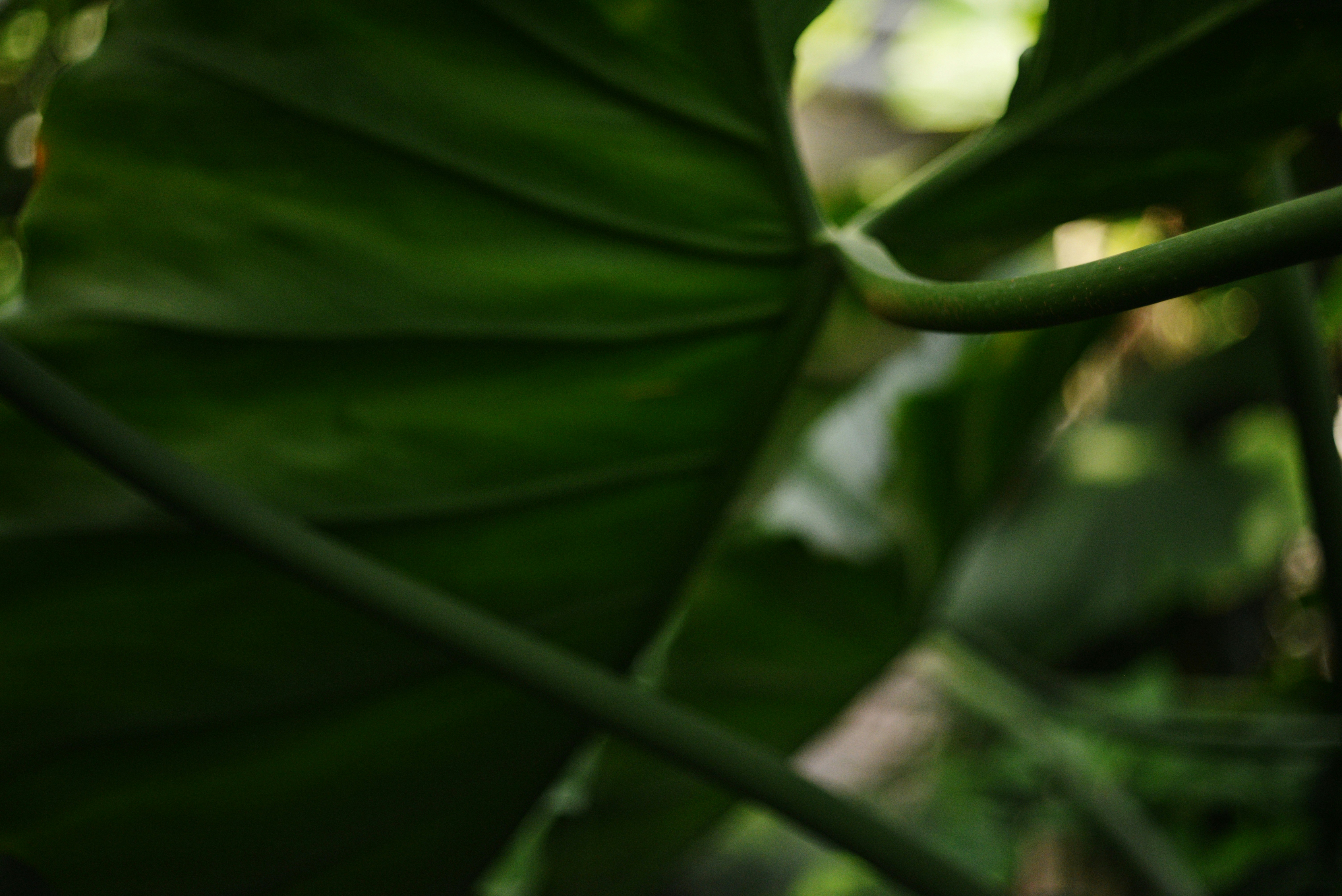 Photo by cherstve_pechivo