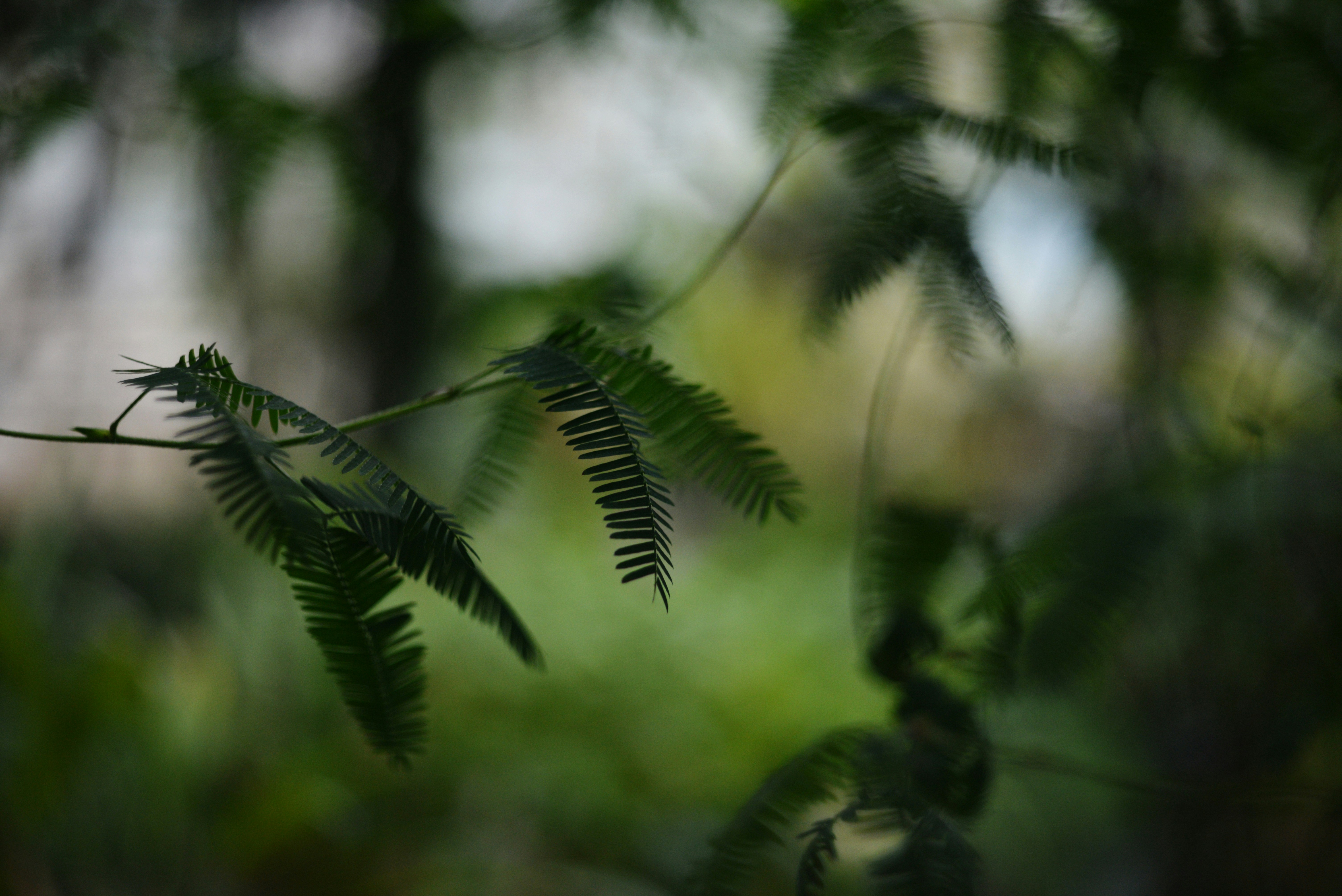 Photo by cherstve_pechivo