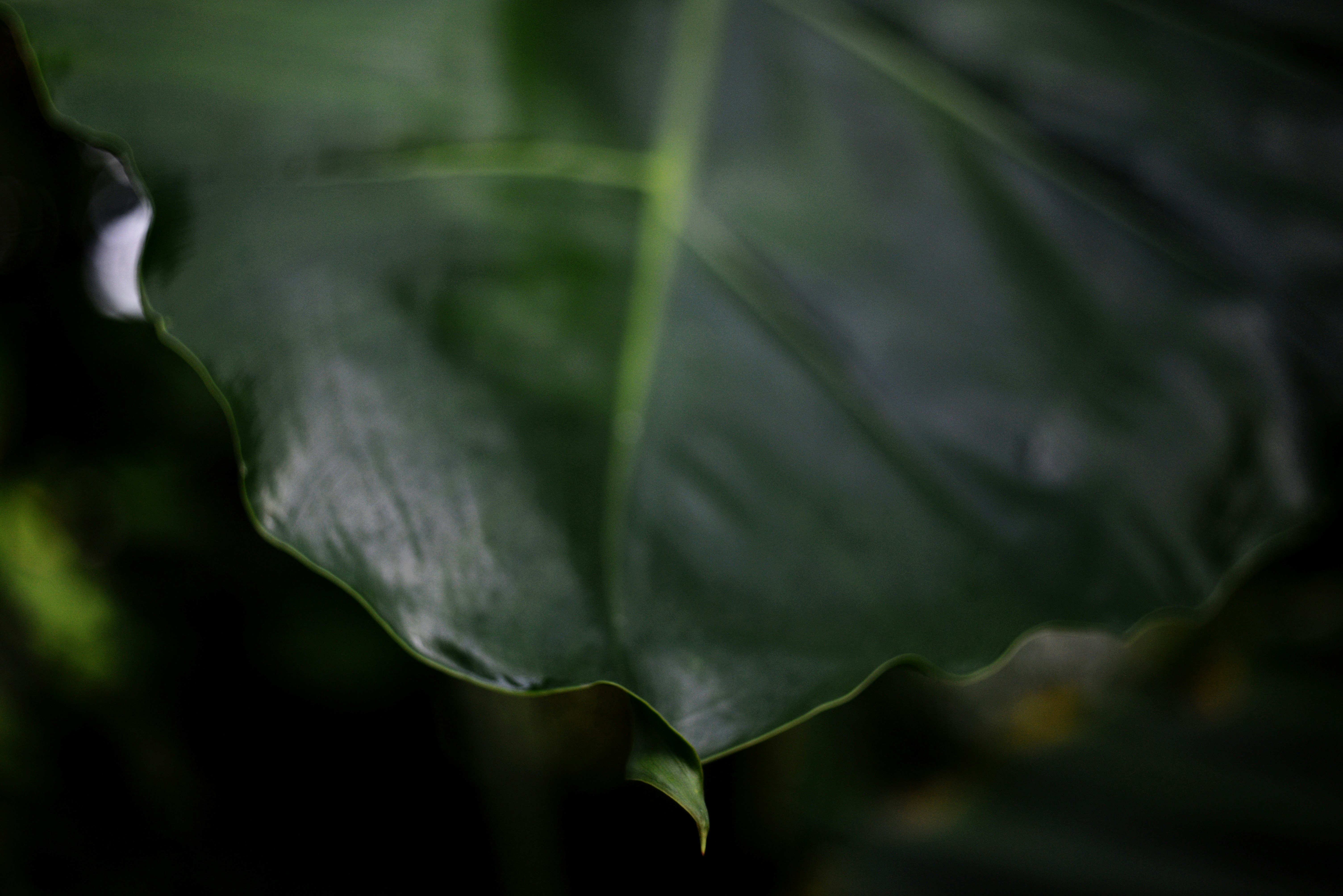 Photo by cherstve_pechivo