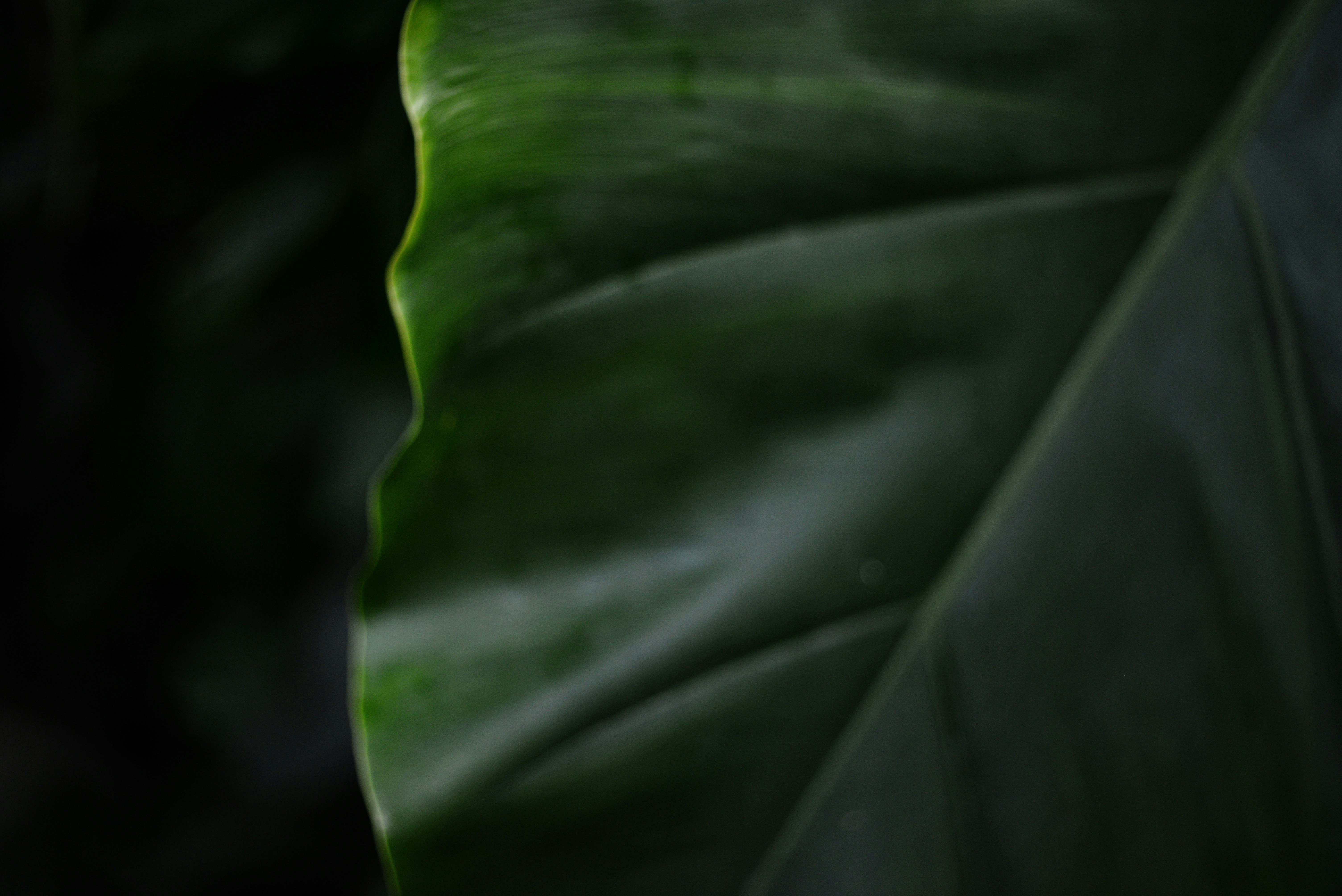 Photo by cherstve_pechivo