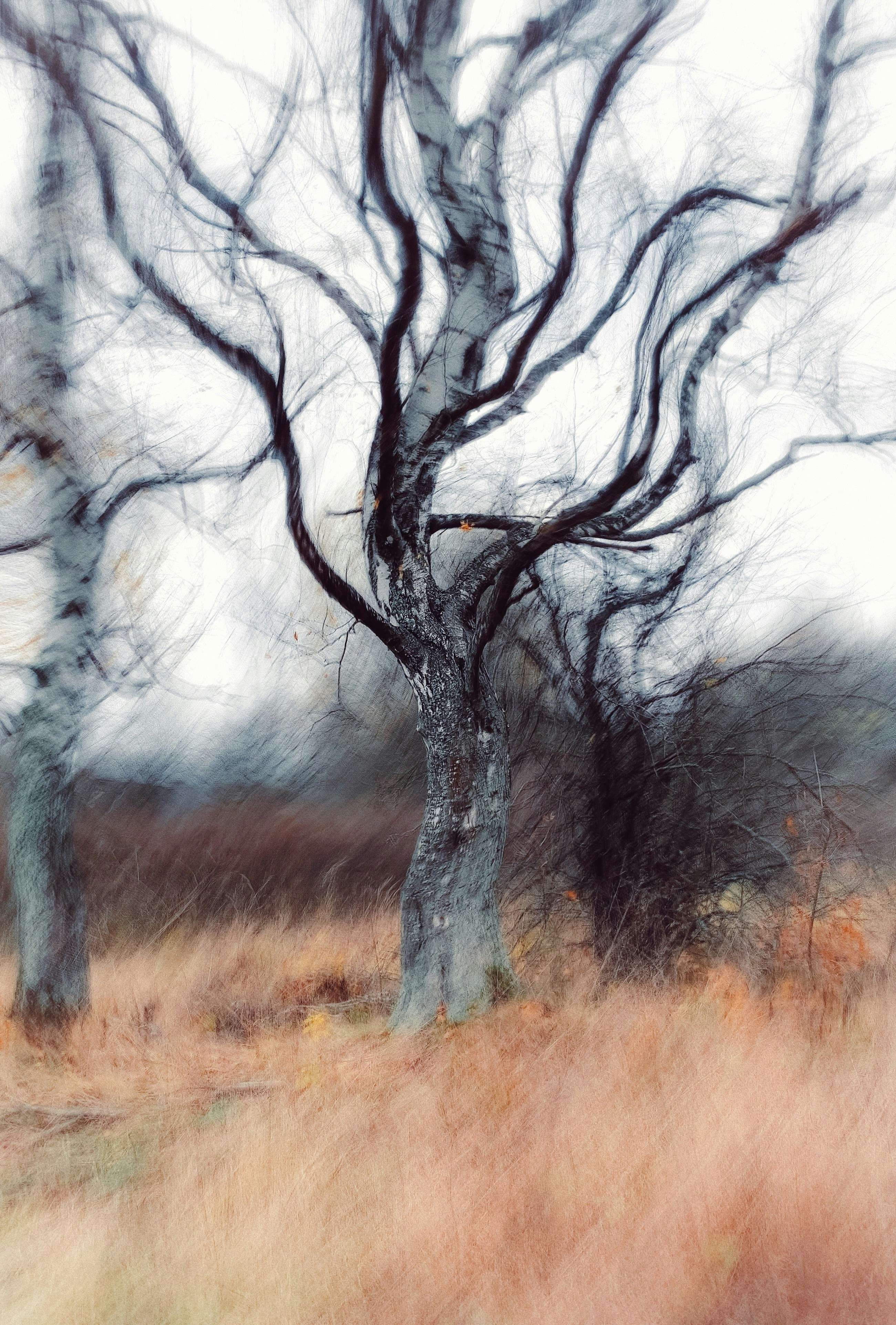 Photo by eugene_golovesov