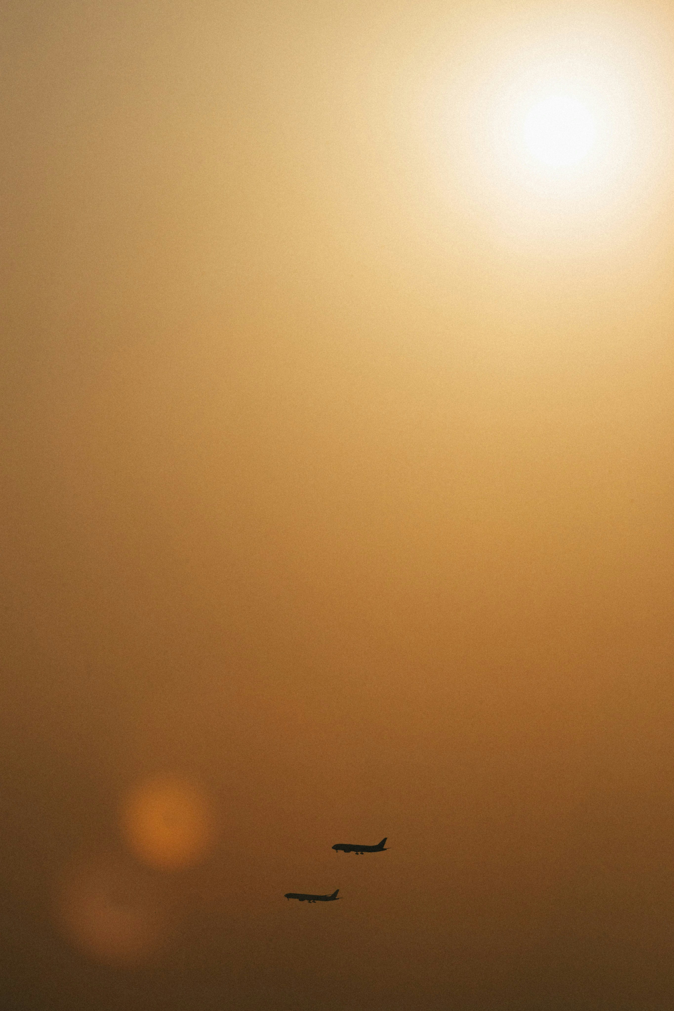 Photo by tsuyoshikozu