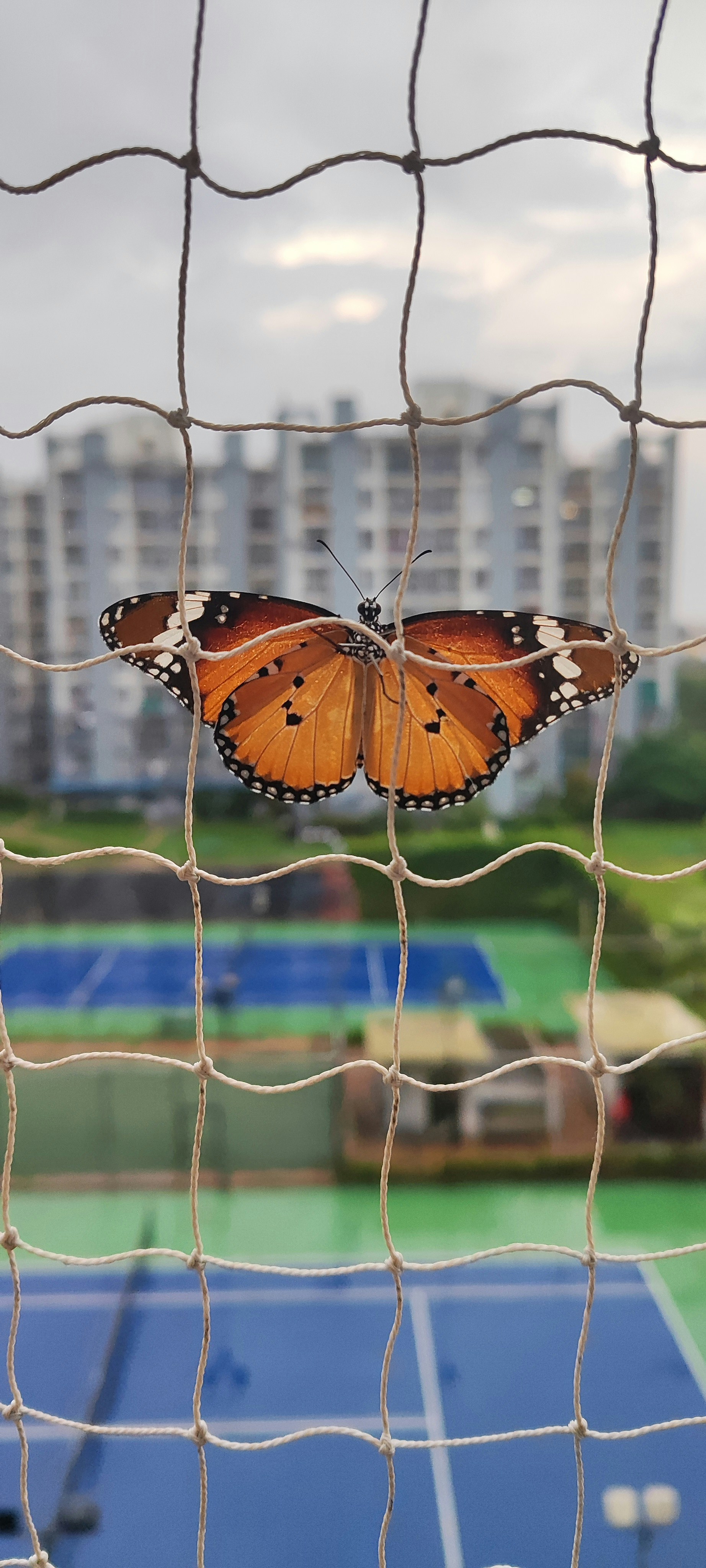 Vaishnavi Ram (@rv_1615) | Unsplash Photo Community