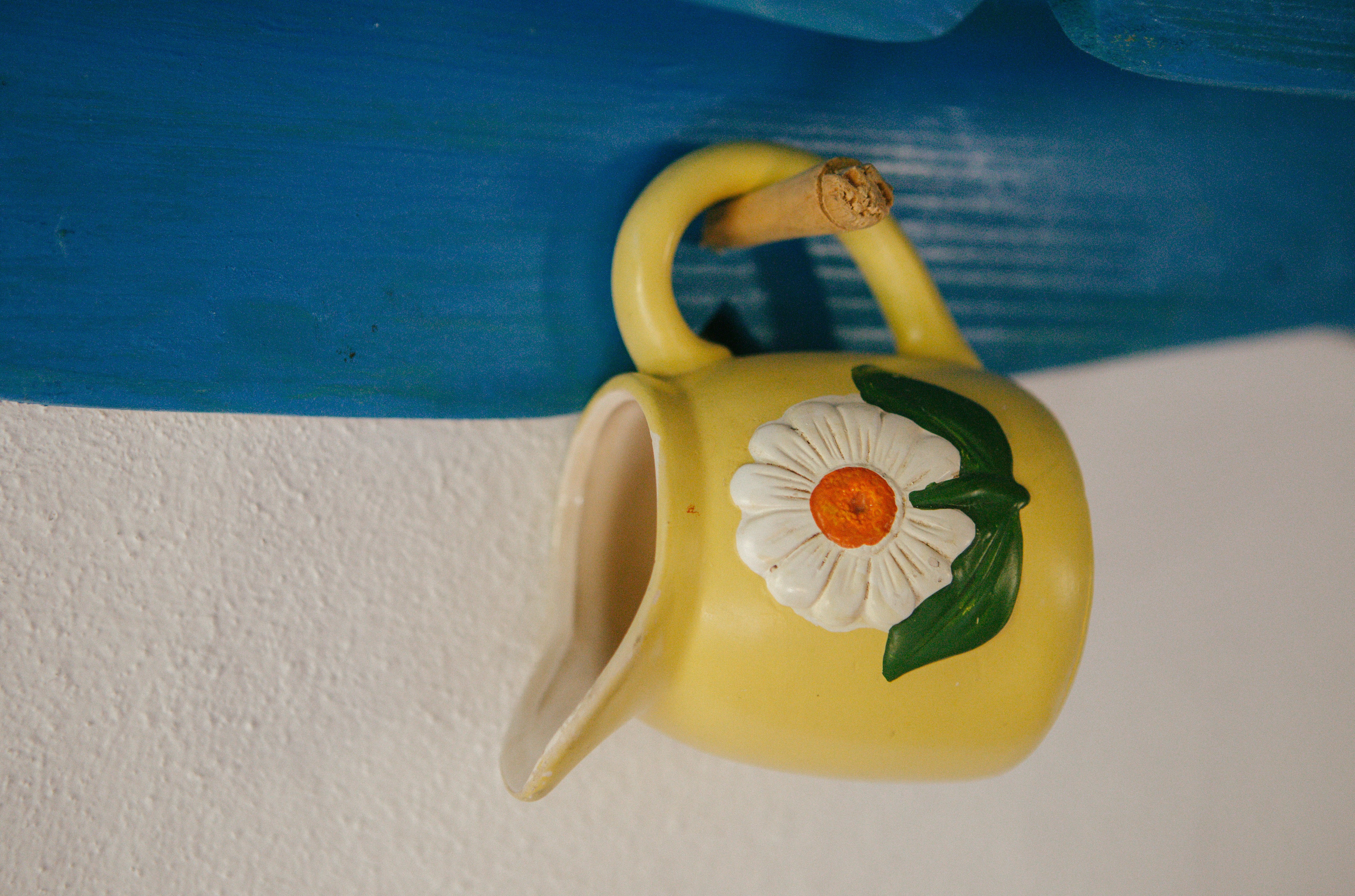 Photo by raymondpetrik