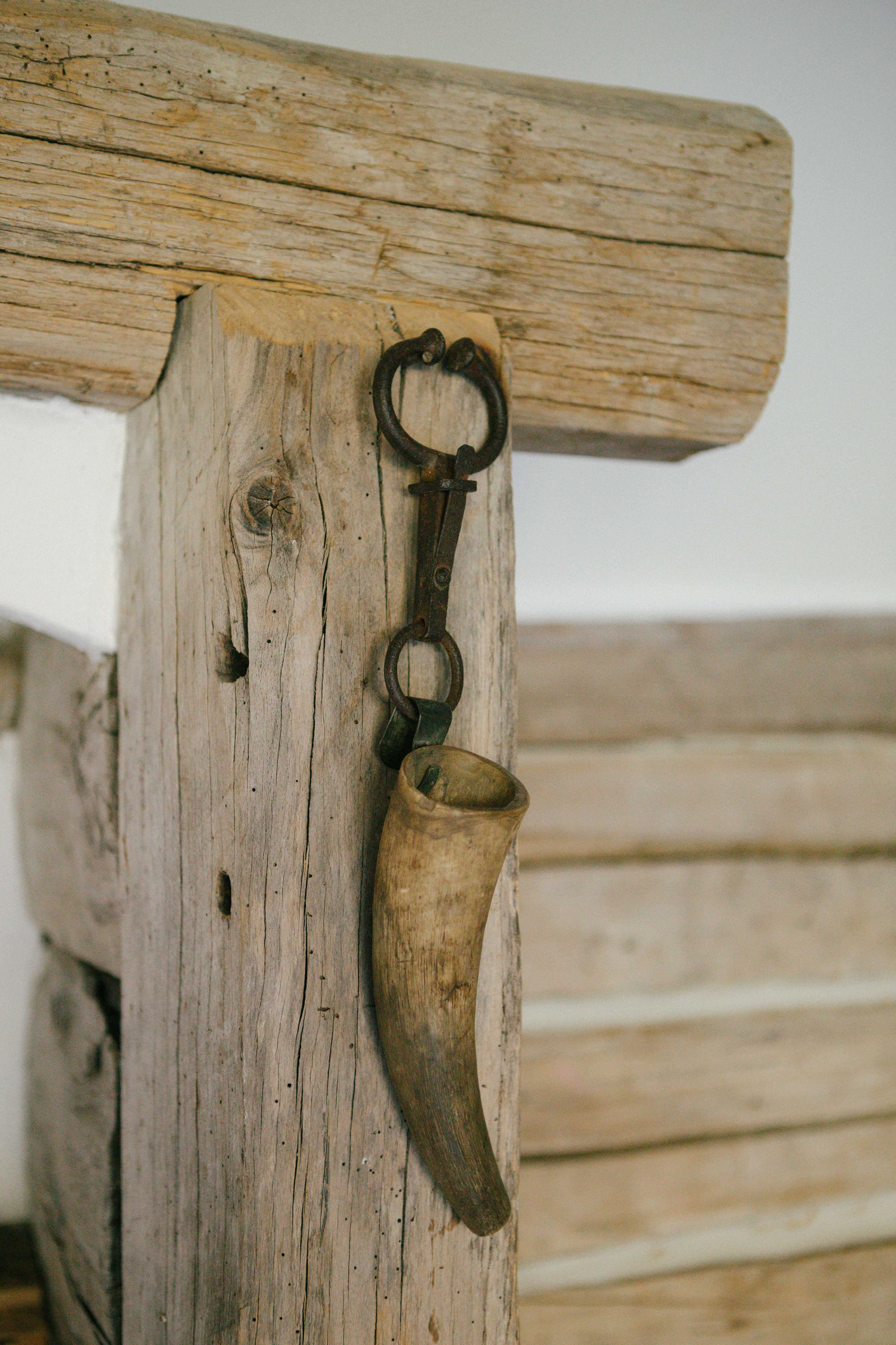 Photo by raymondpetrik