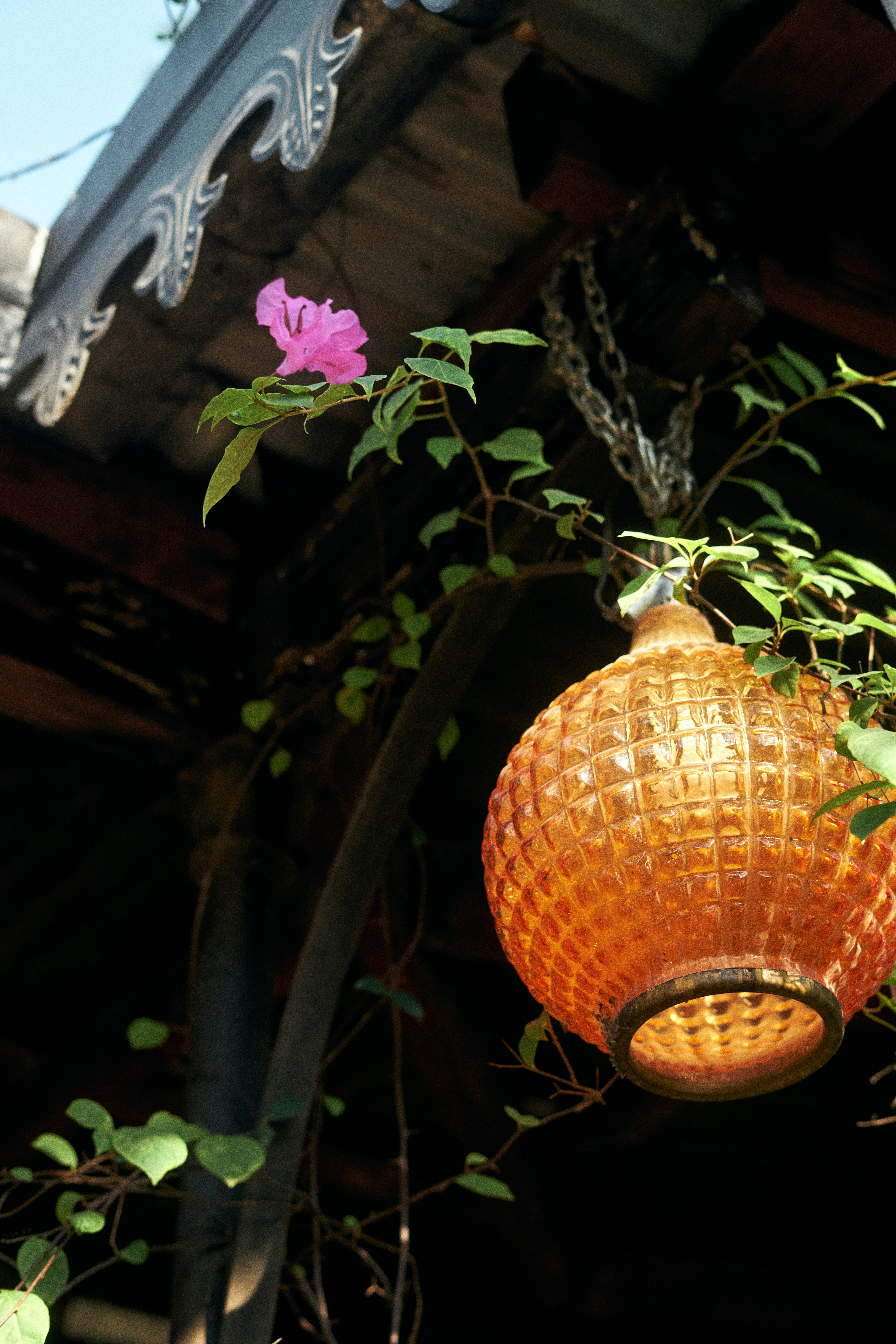 Photo by lucasmichelini