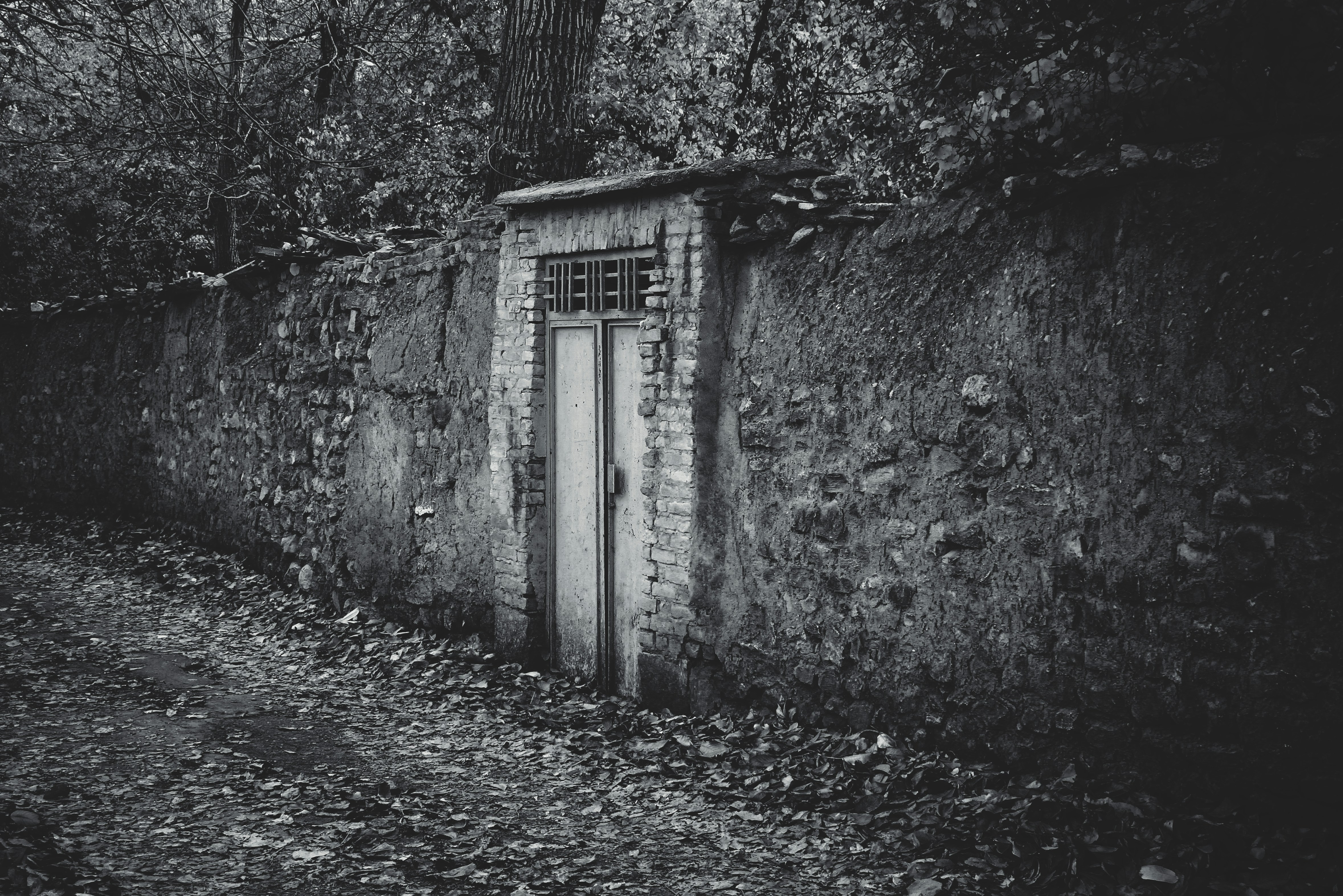 Photo by hasanalmasi