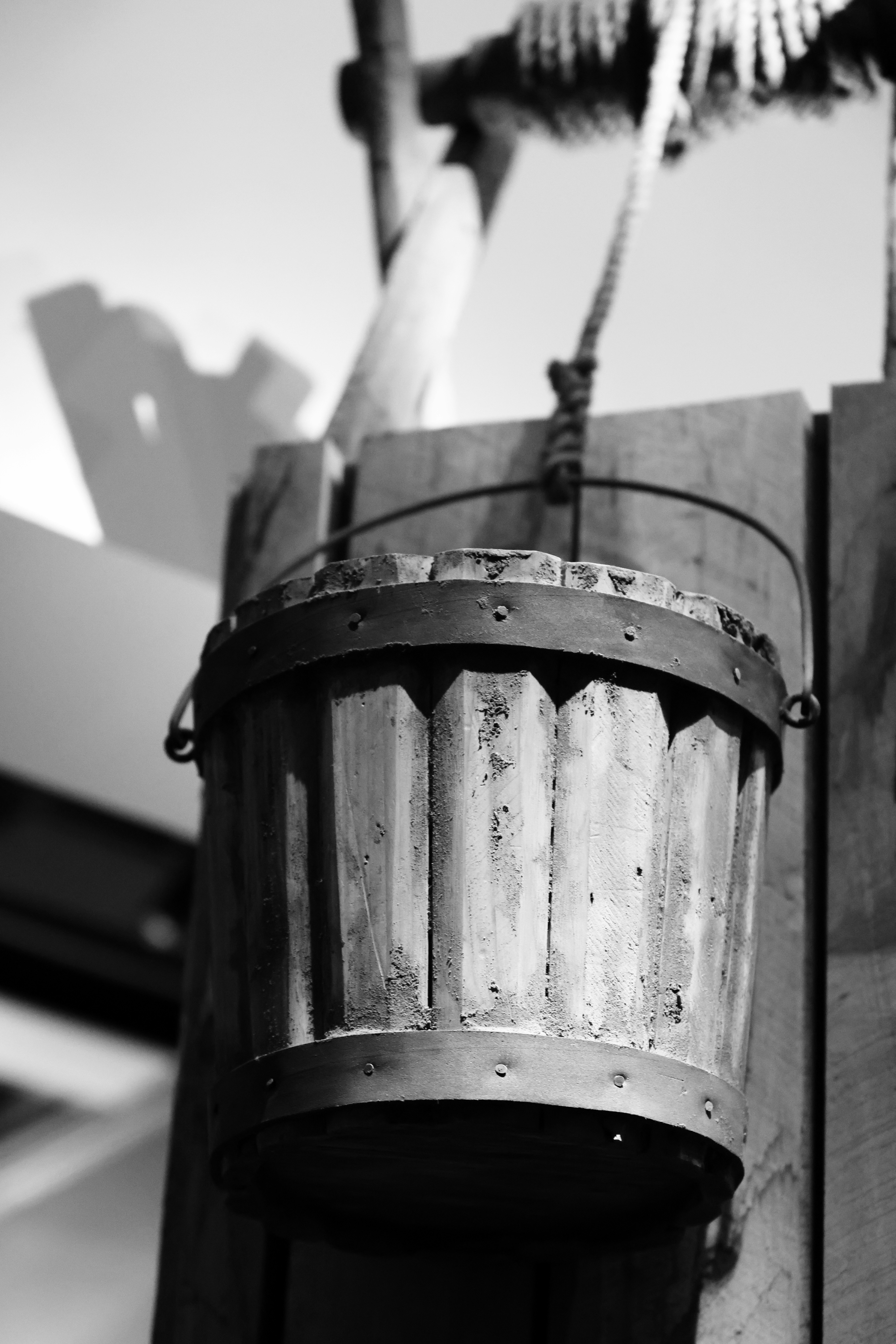 Photo by the_bhullar