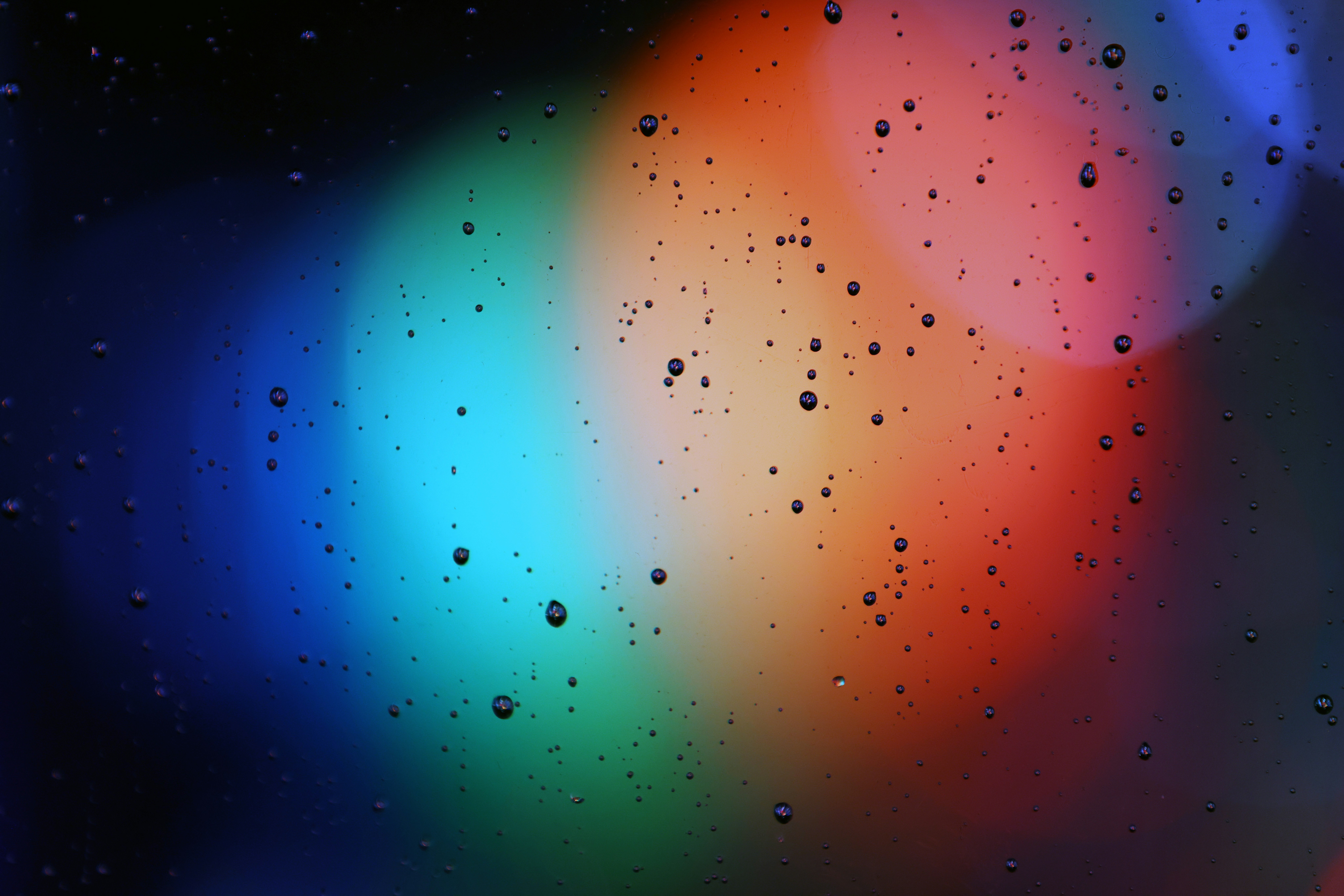 Photo by the_bhullar