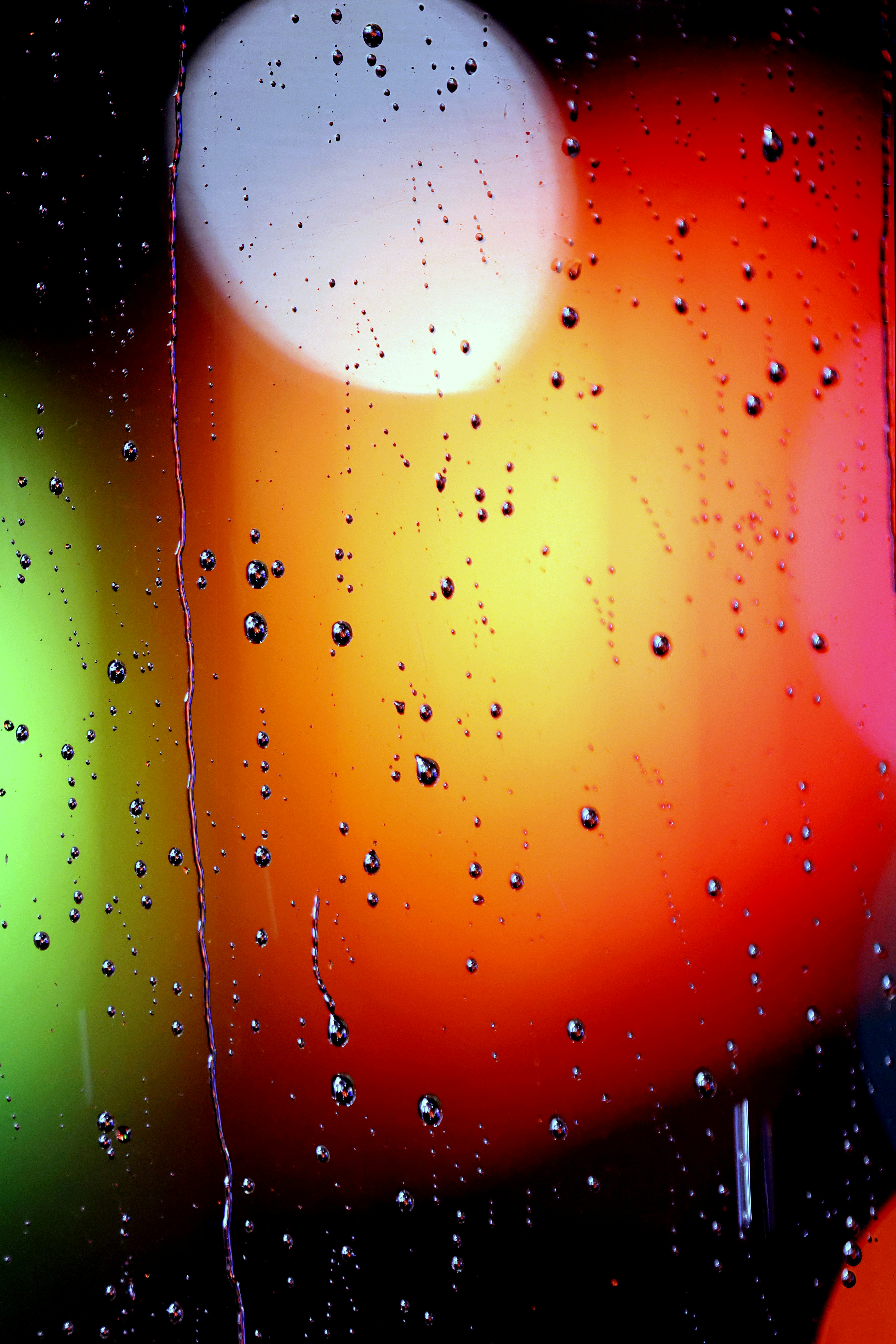 Photo by the_bhullar