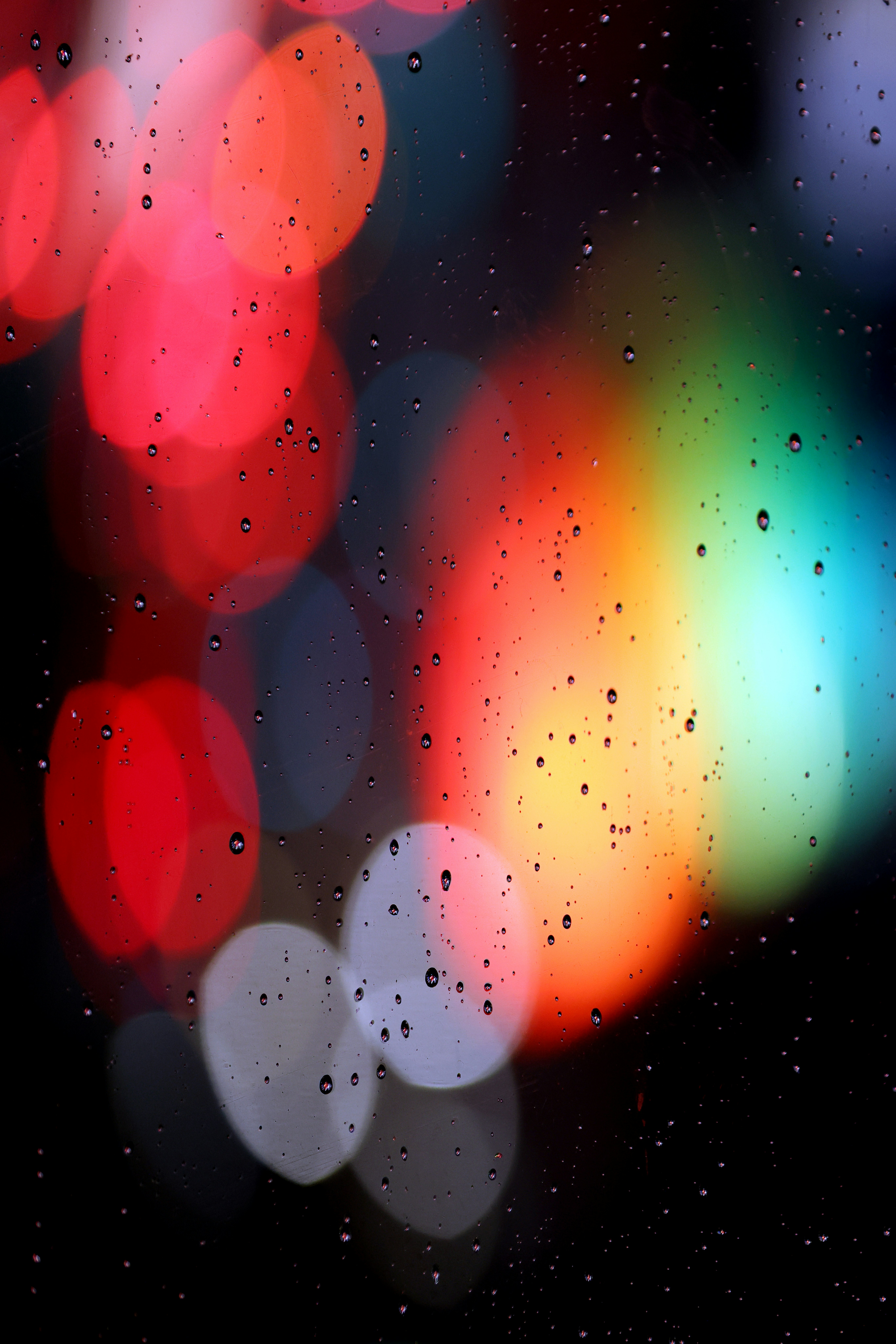 Photo by the_bhullar