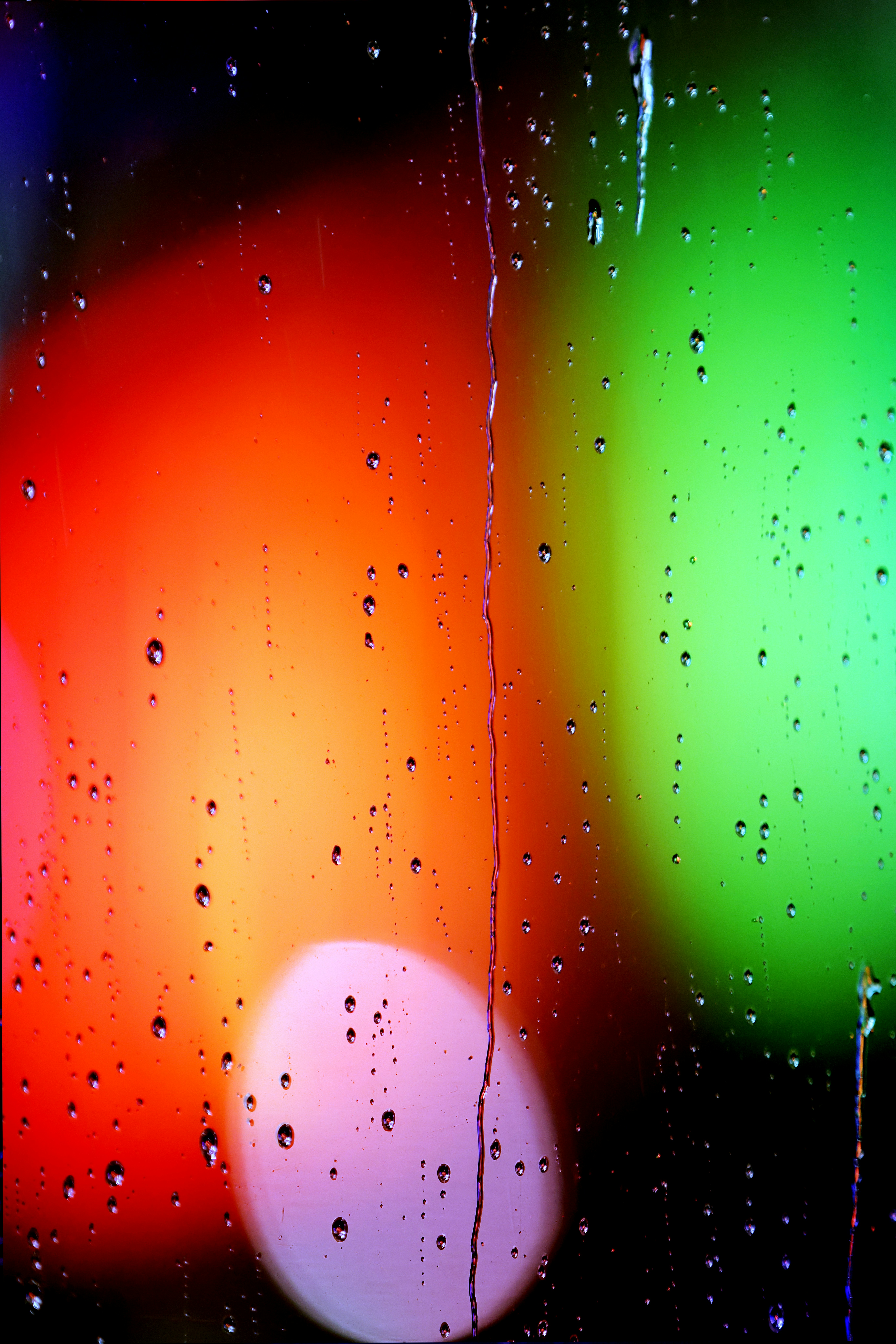 Photo by the_bhullar