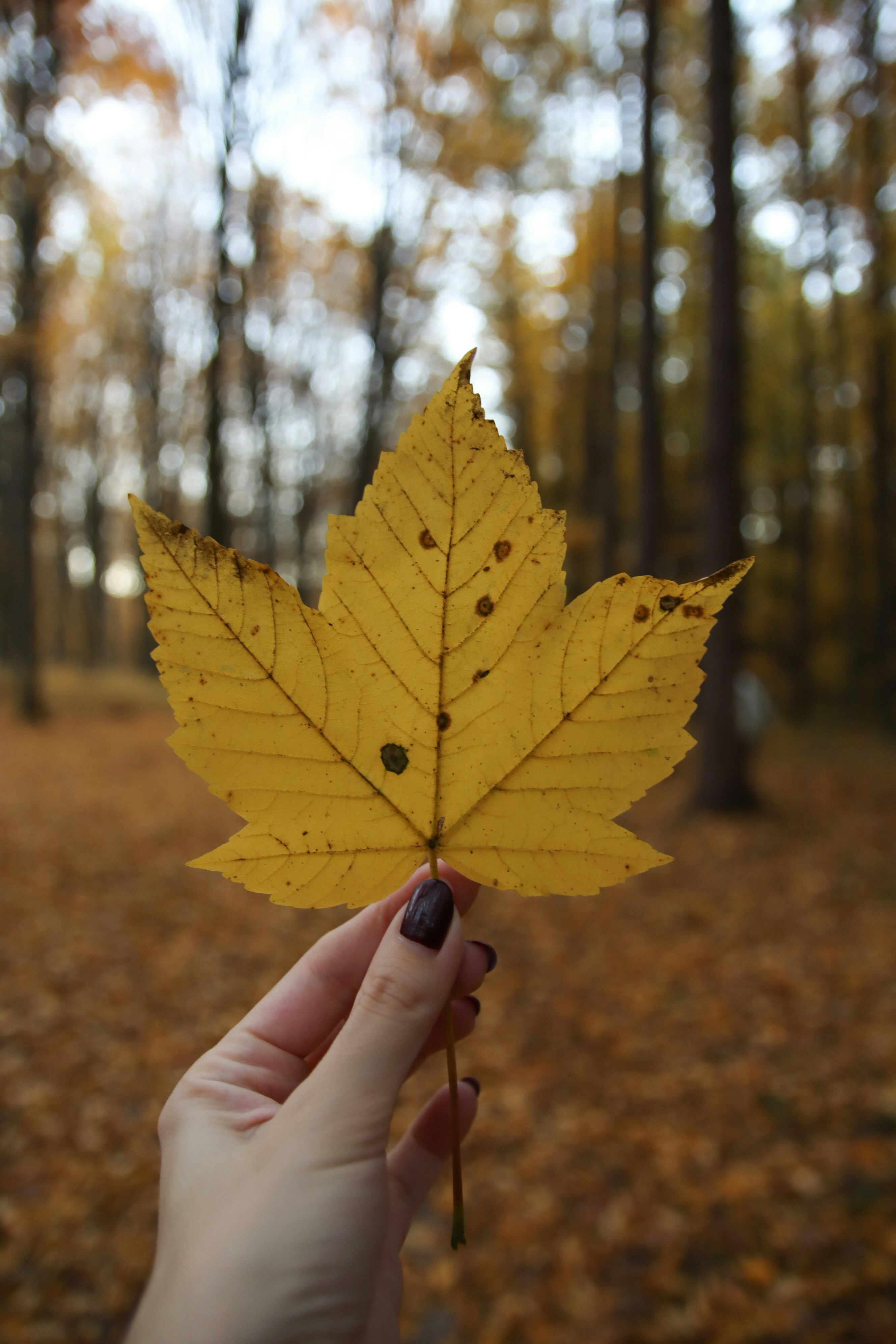 Photo by feeling_hope