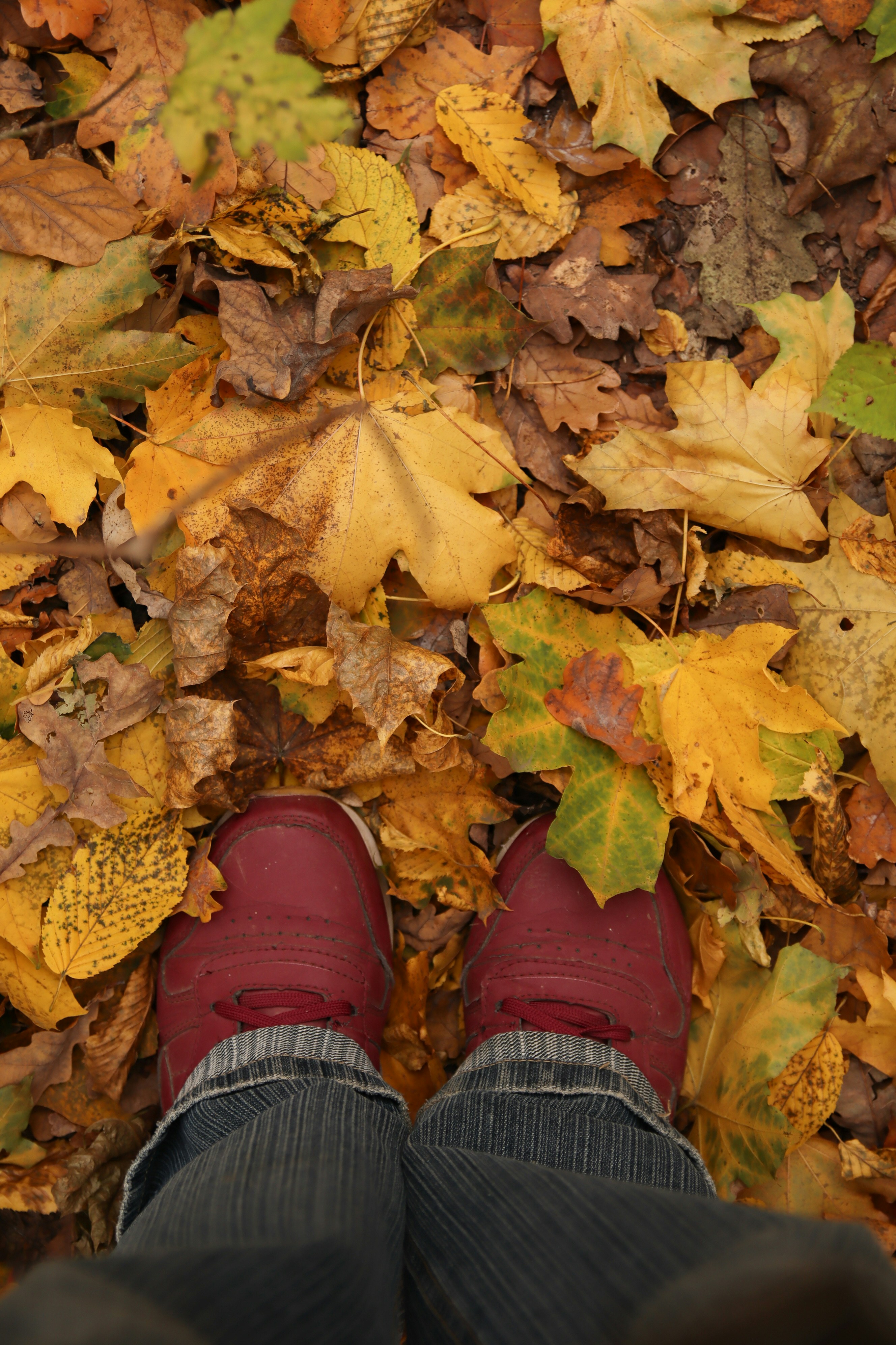 Photo by feeling_hope